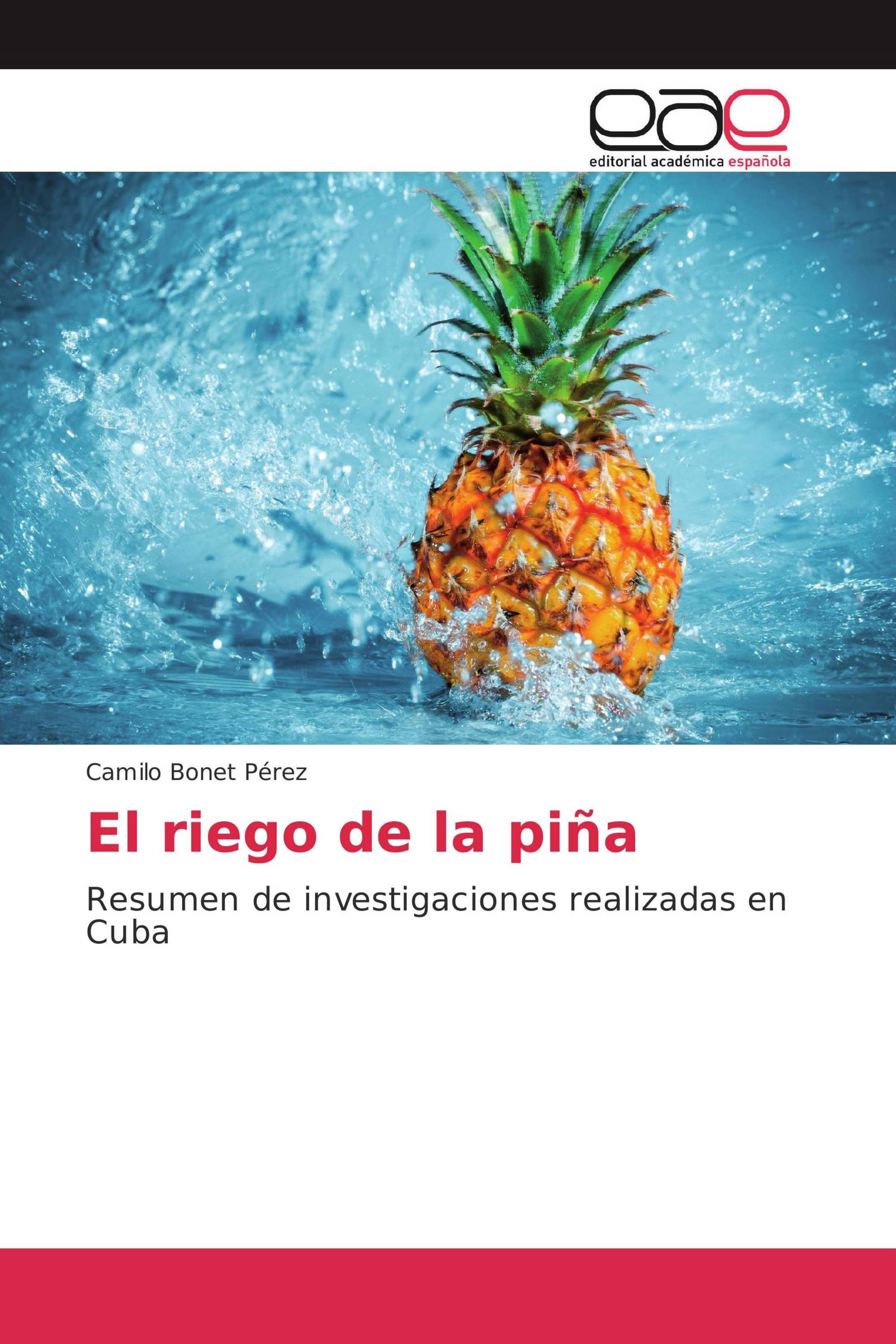 El riego de la piña