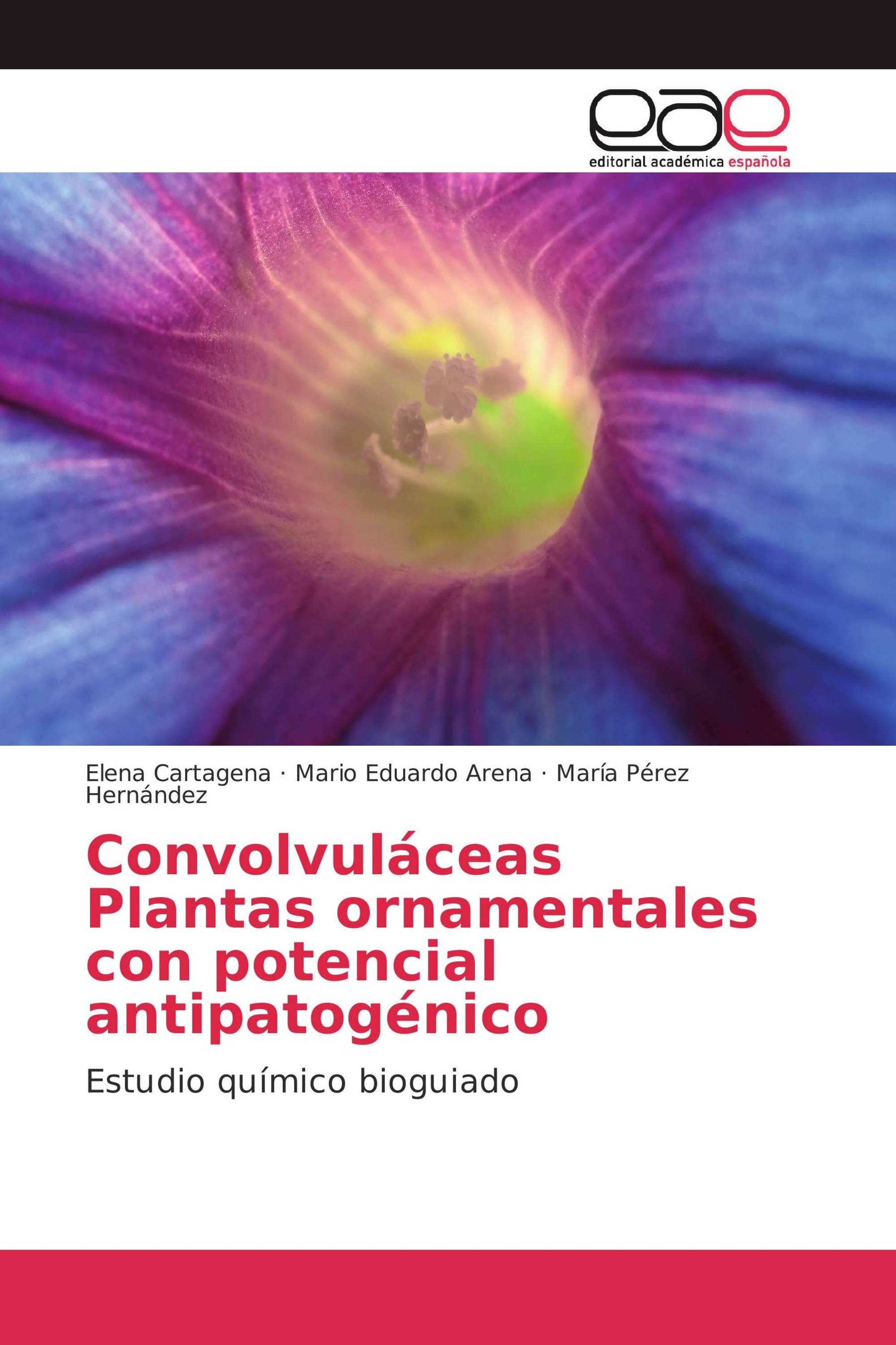 Convolvuláceas Plantas ornamentales con potencial antipatogénico