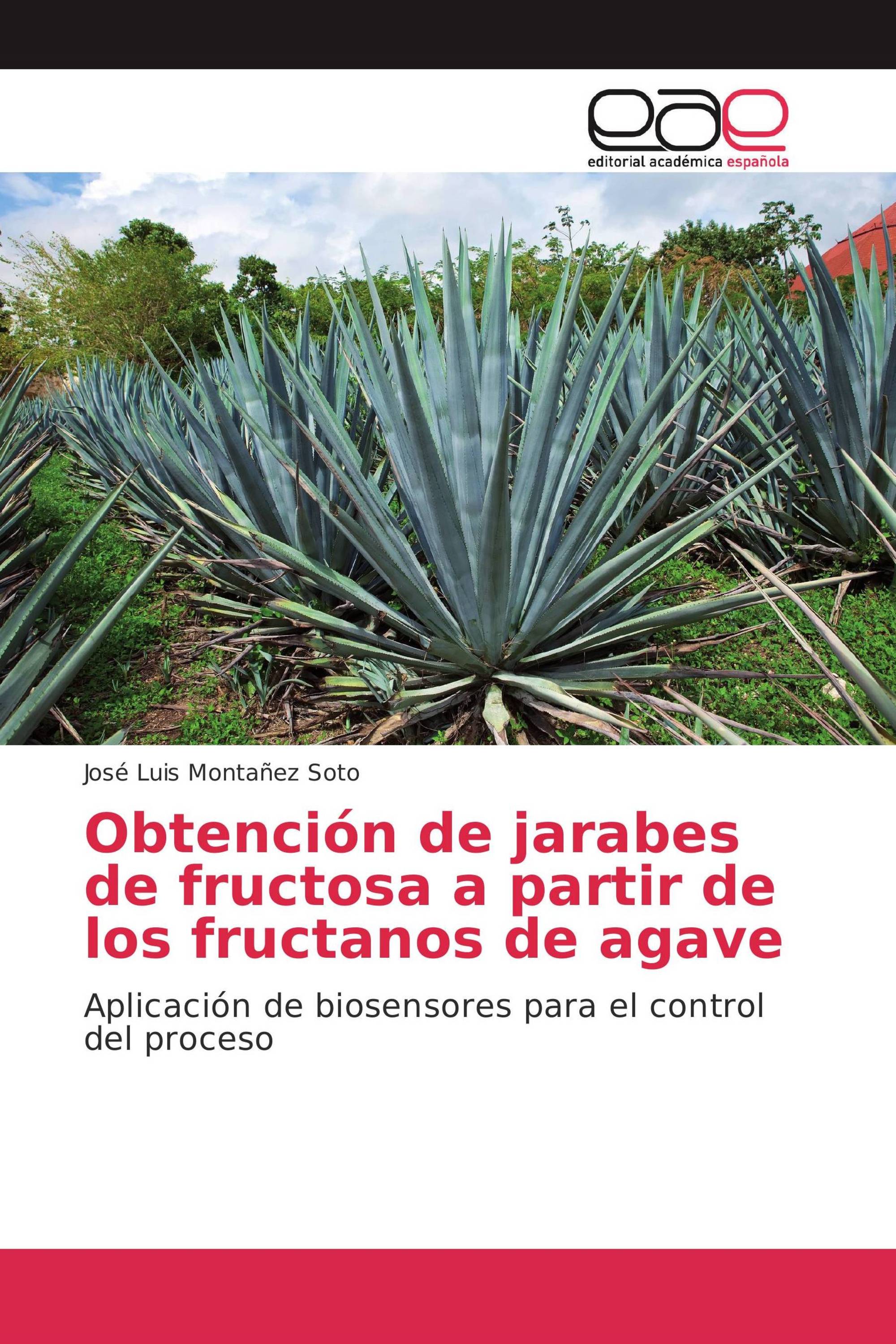 Obtención de jarabes de fructosa a partir de los fructanos de agave