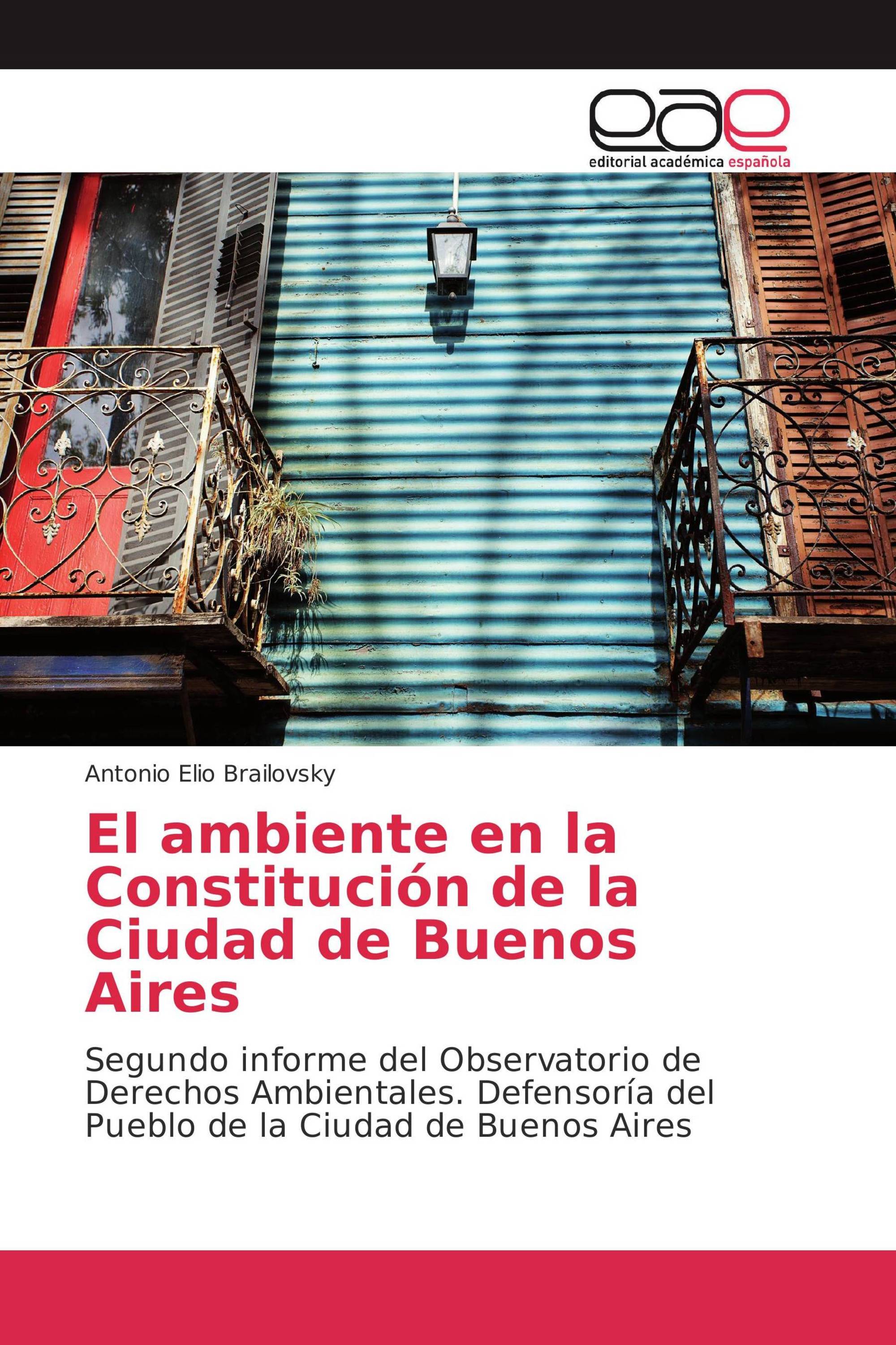 El ambiente en la Constitución de la Ciudad de Buenos Aires