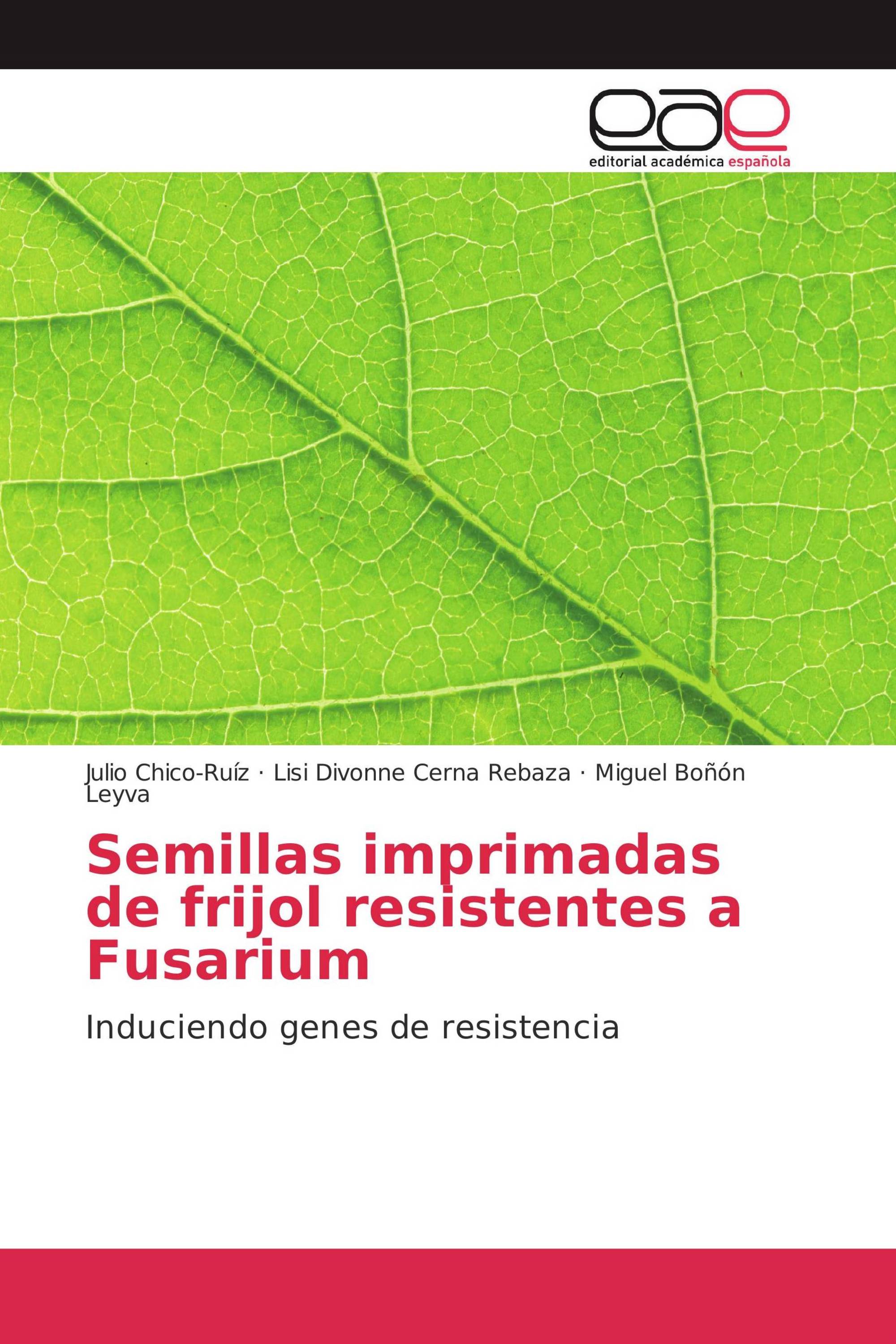 Semillas imprimadas de frijol resistentes a Fusarium