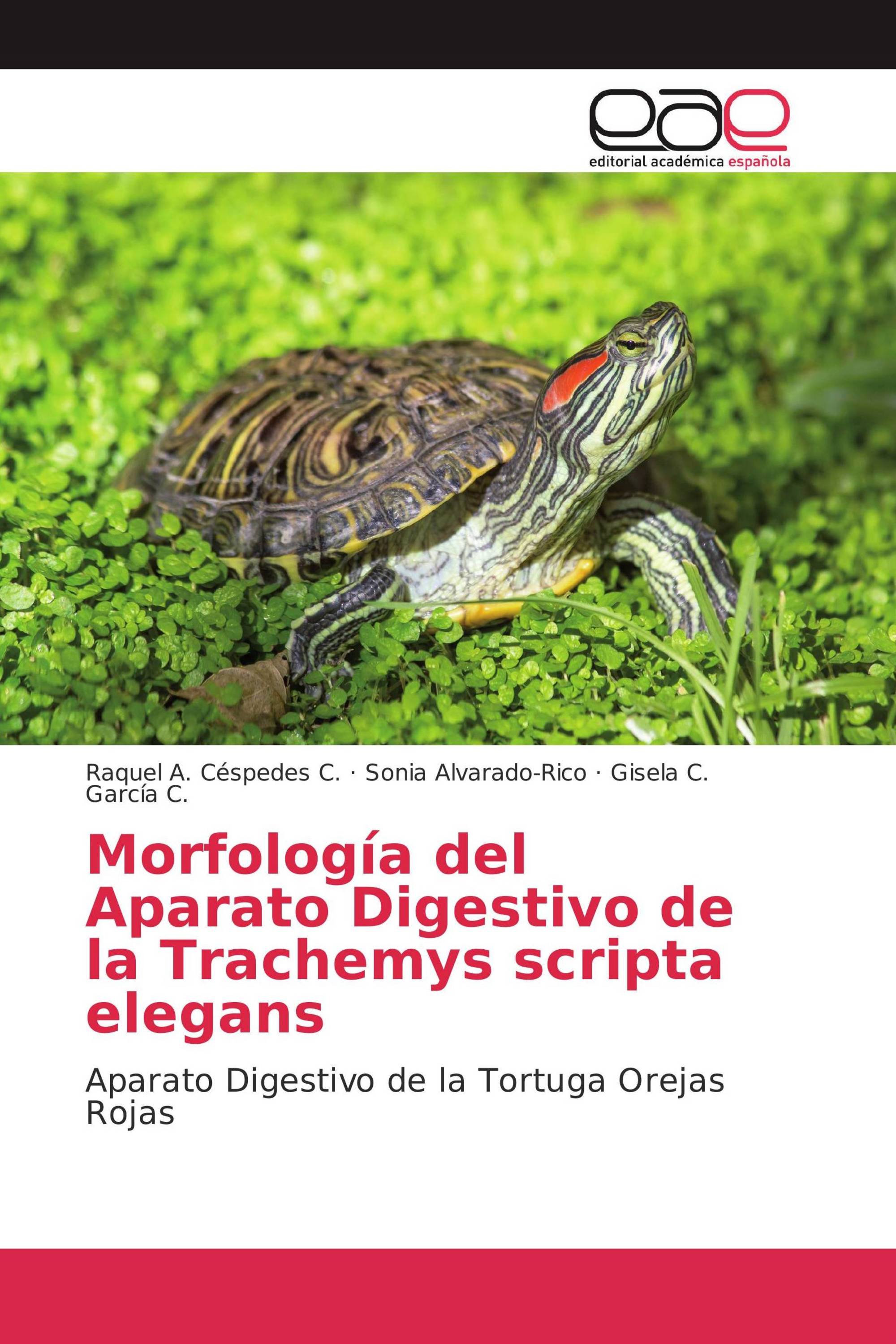 Morfología del Aparato Digestivo de la Trachemys scripta elegans