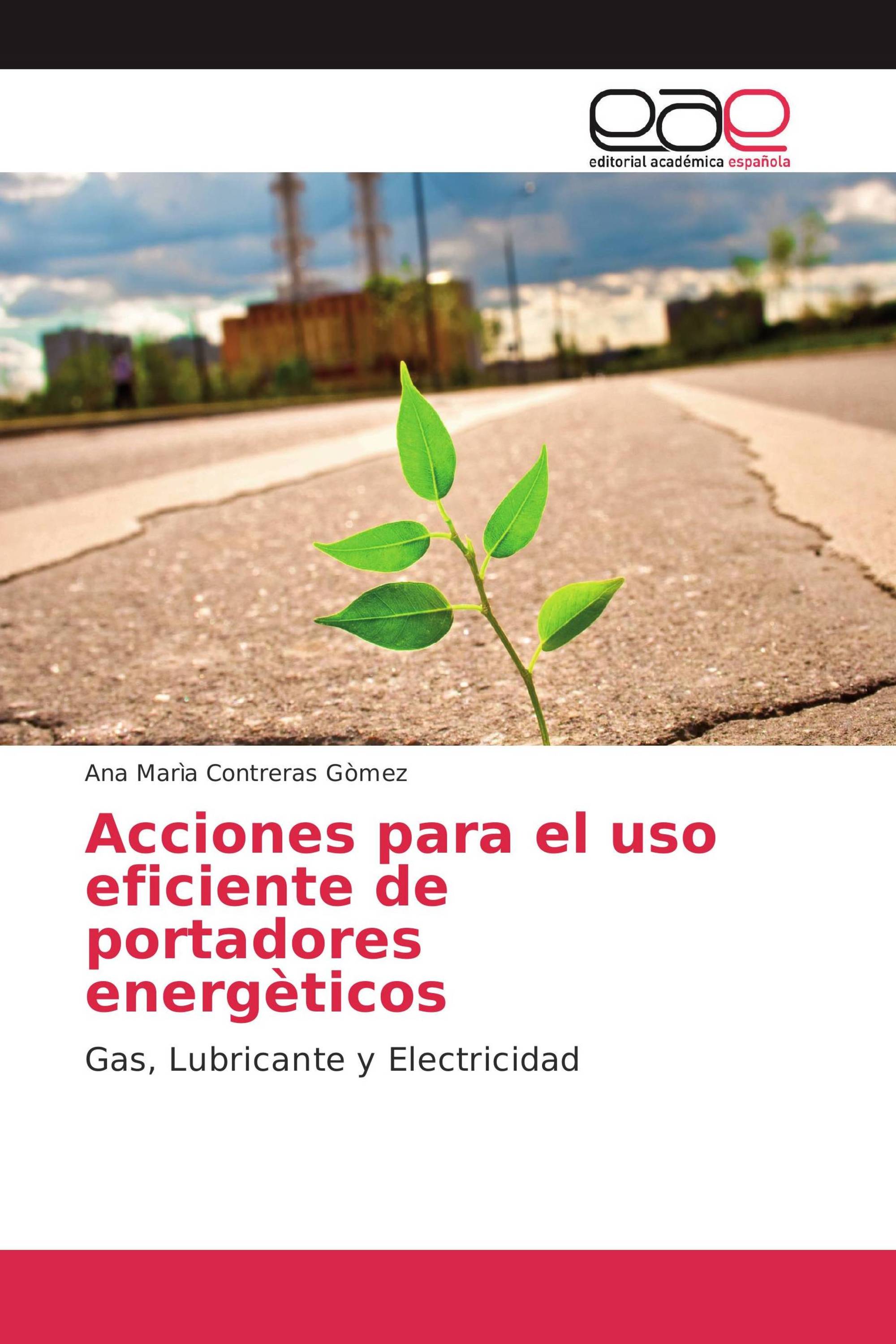 Acciones para el uso eficiente de portadores energèticos