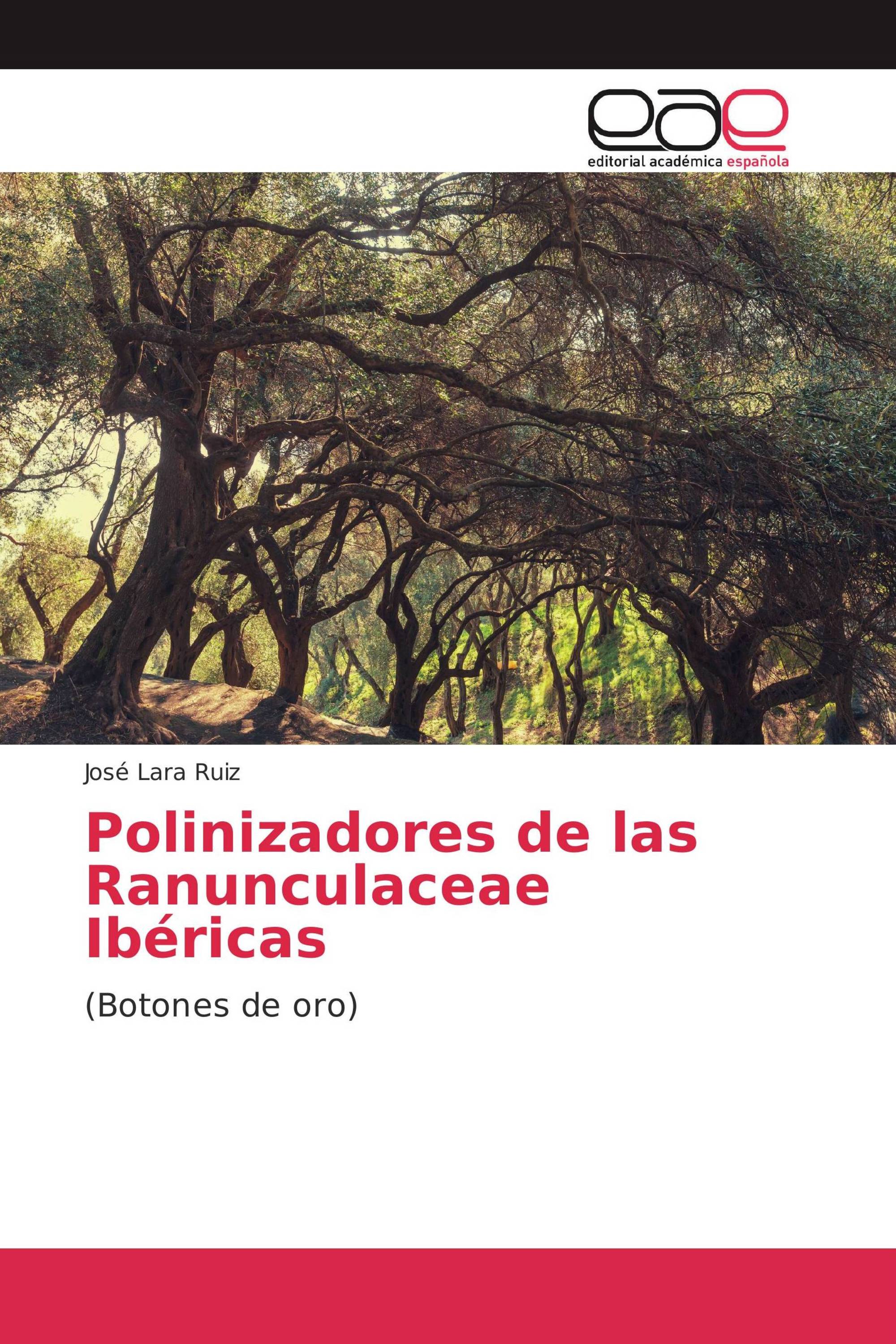 Polinizadores de las Ranunculaceae Ibéricas
