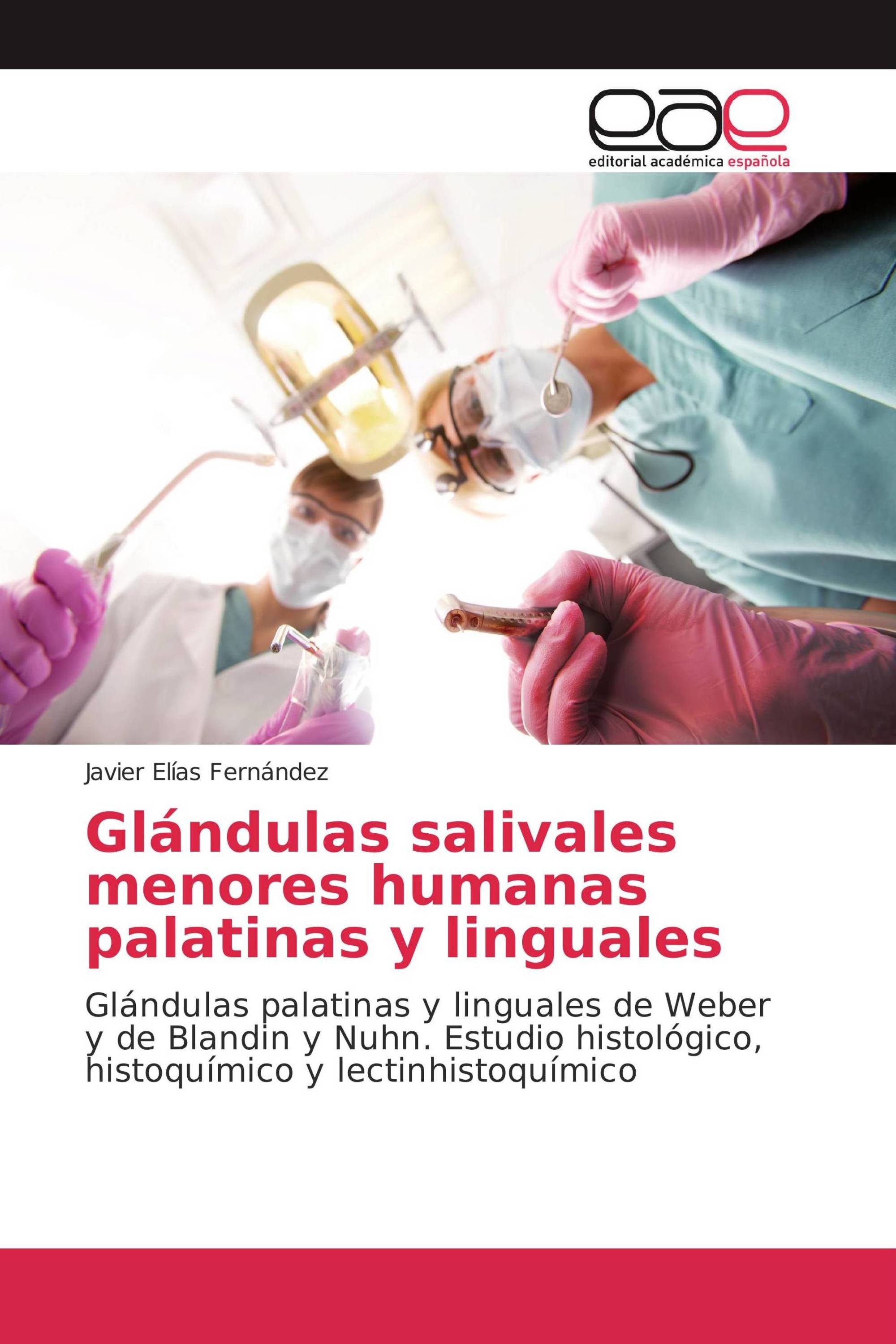 Glándulas salivales menores humanas palatinas y linguales