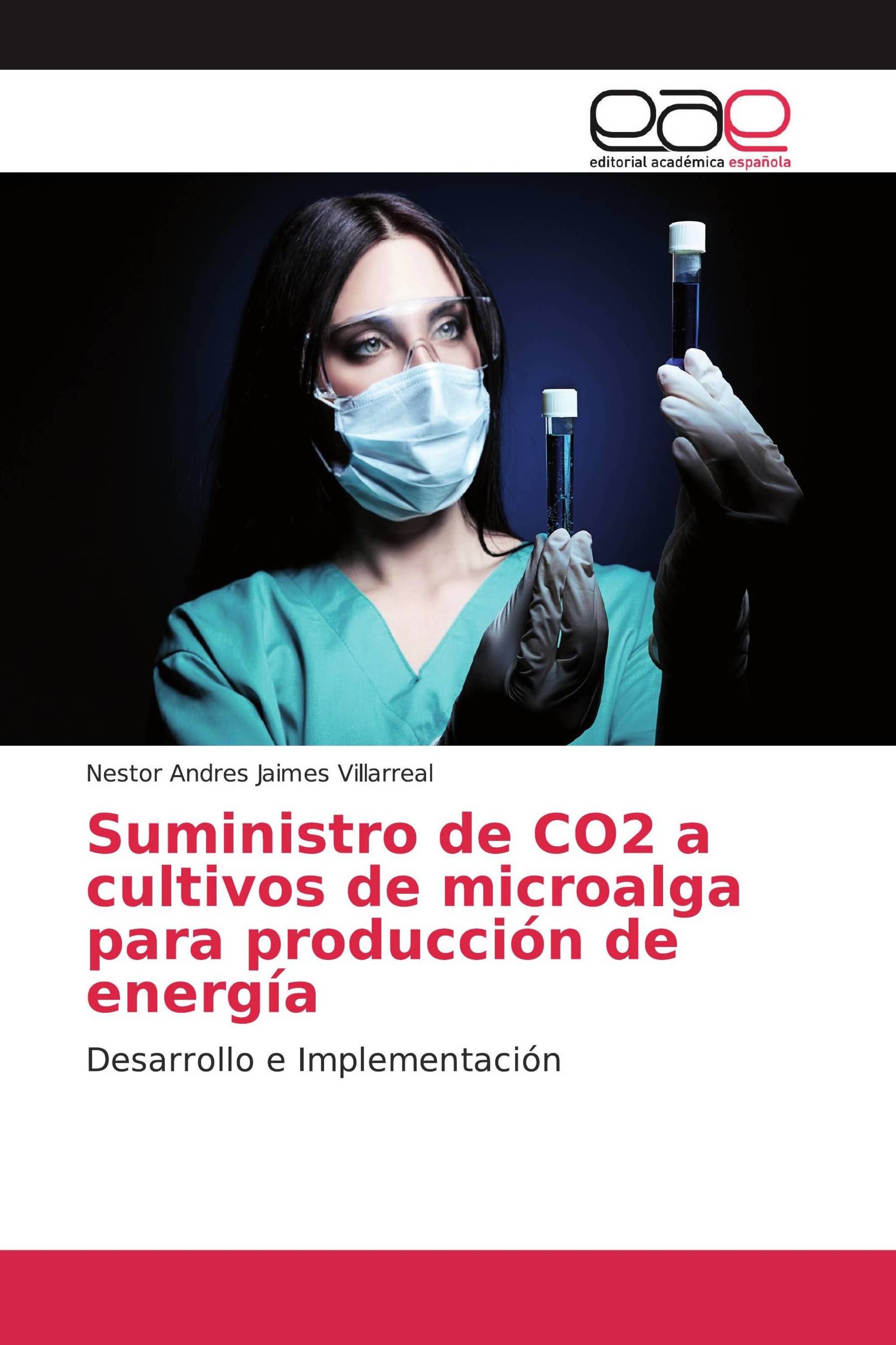 Suministro de CO2 a cultivos de microalga para producción de energía