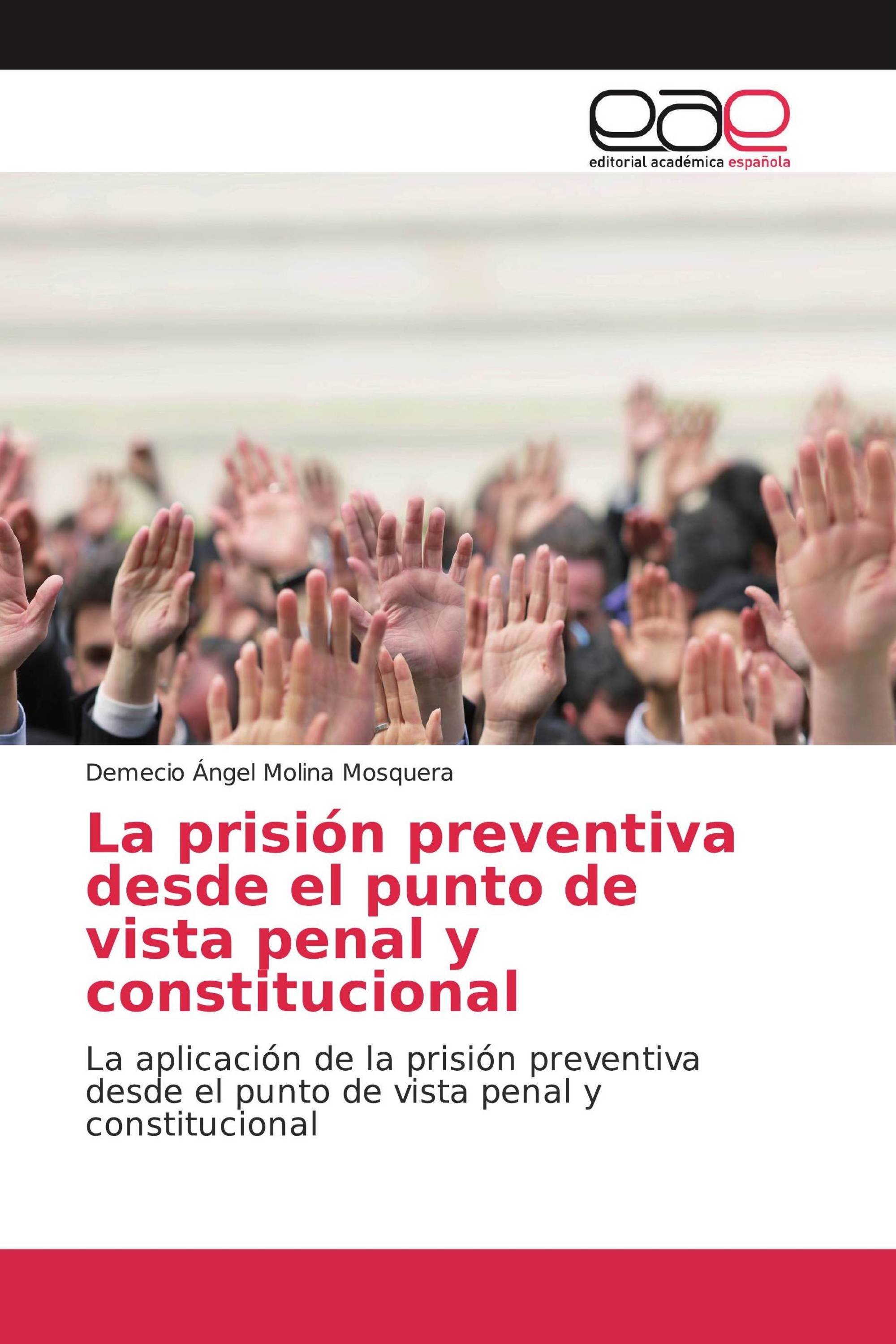 La prisión preventiva desde el punto de vista penal y constitucional