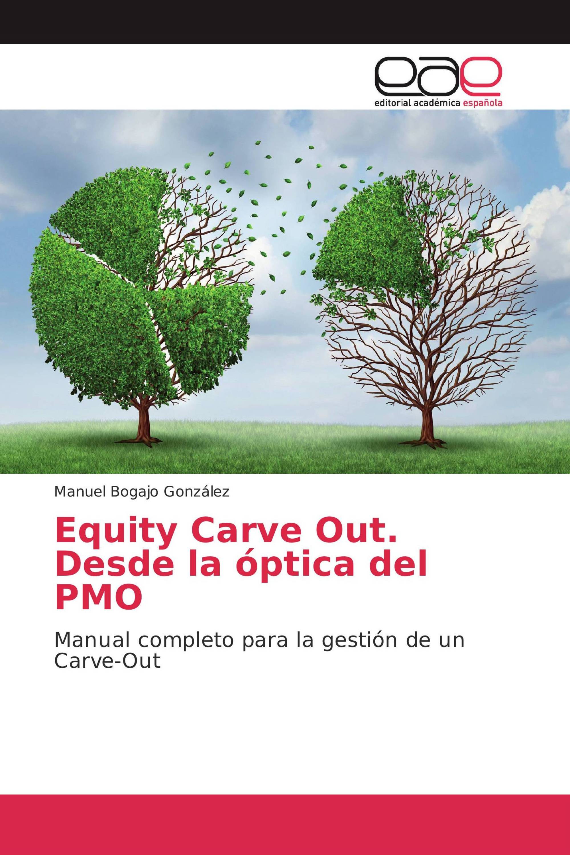 Equity Carve Out. Desde la óptica del PMO