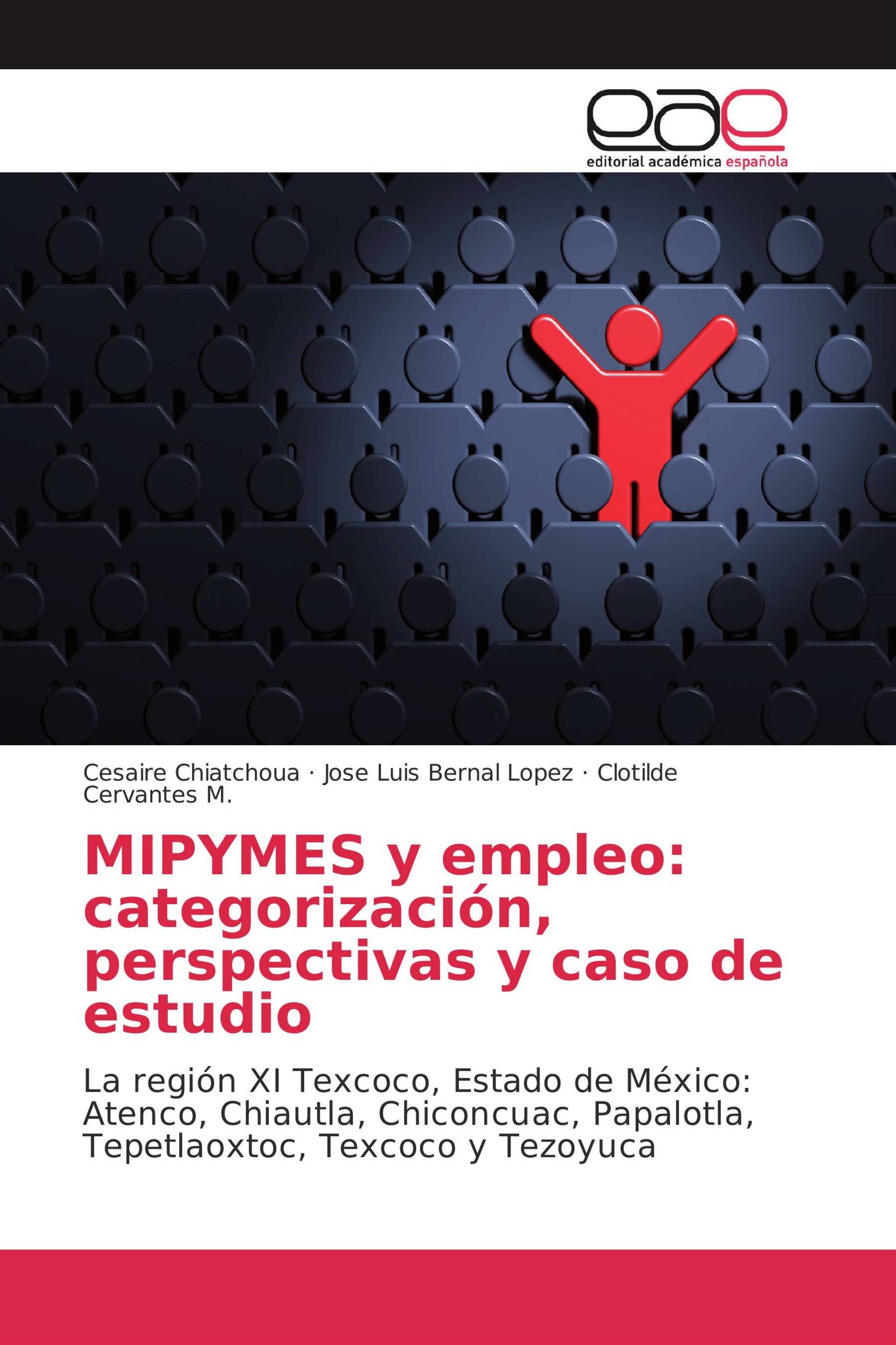 MIPYMES y empleo: categorización, perspectivas y caso de estudio