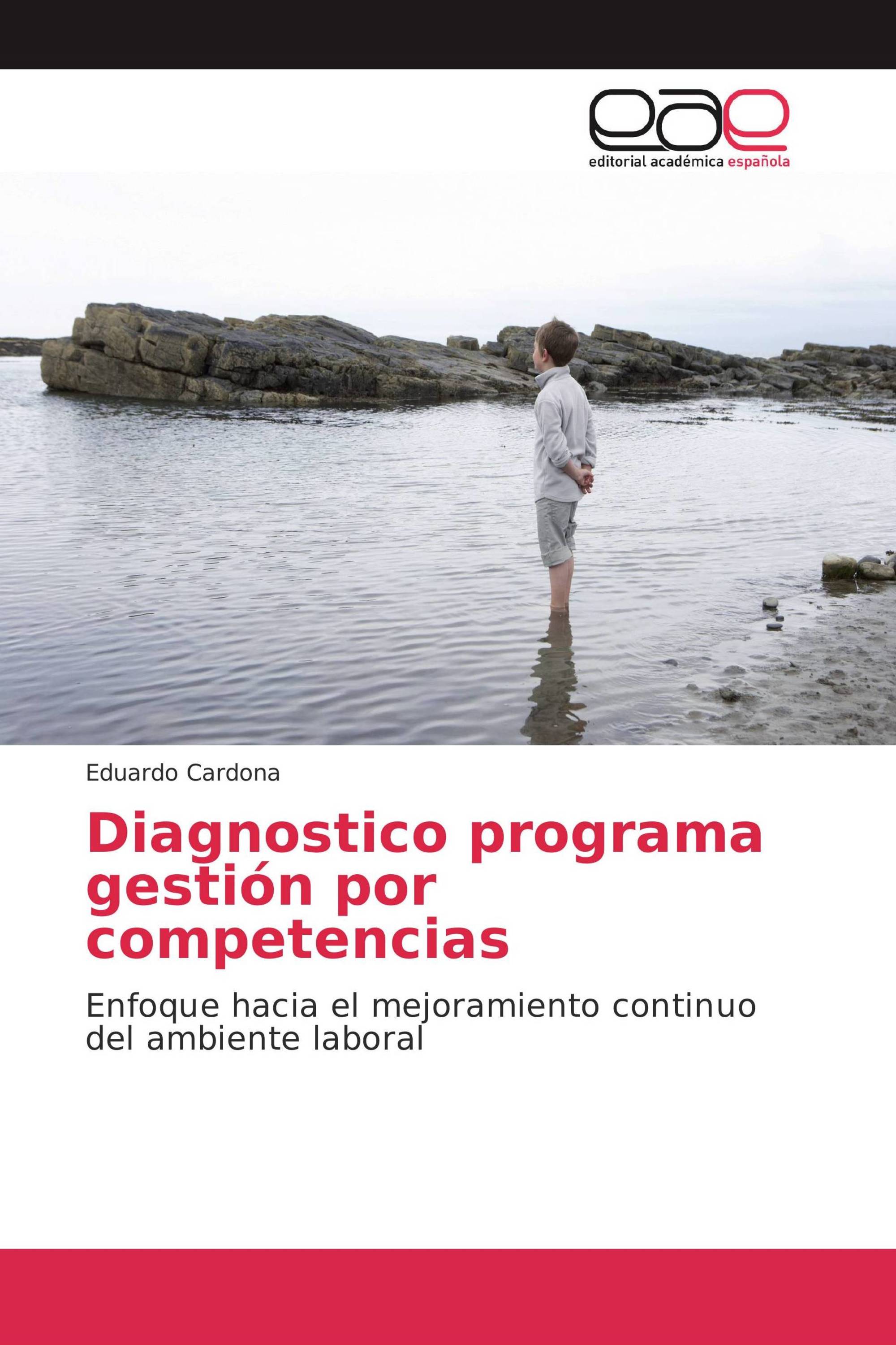 Diagnostico programa gestión por competencias