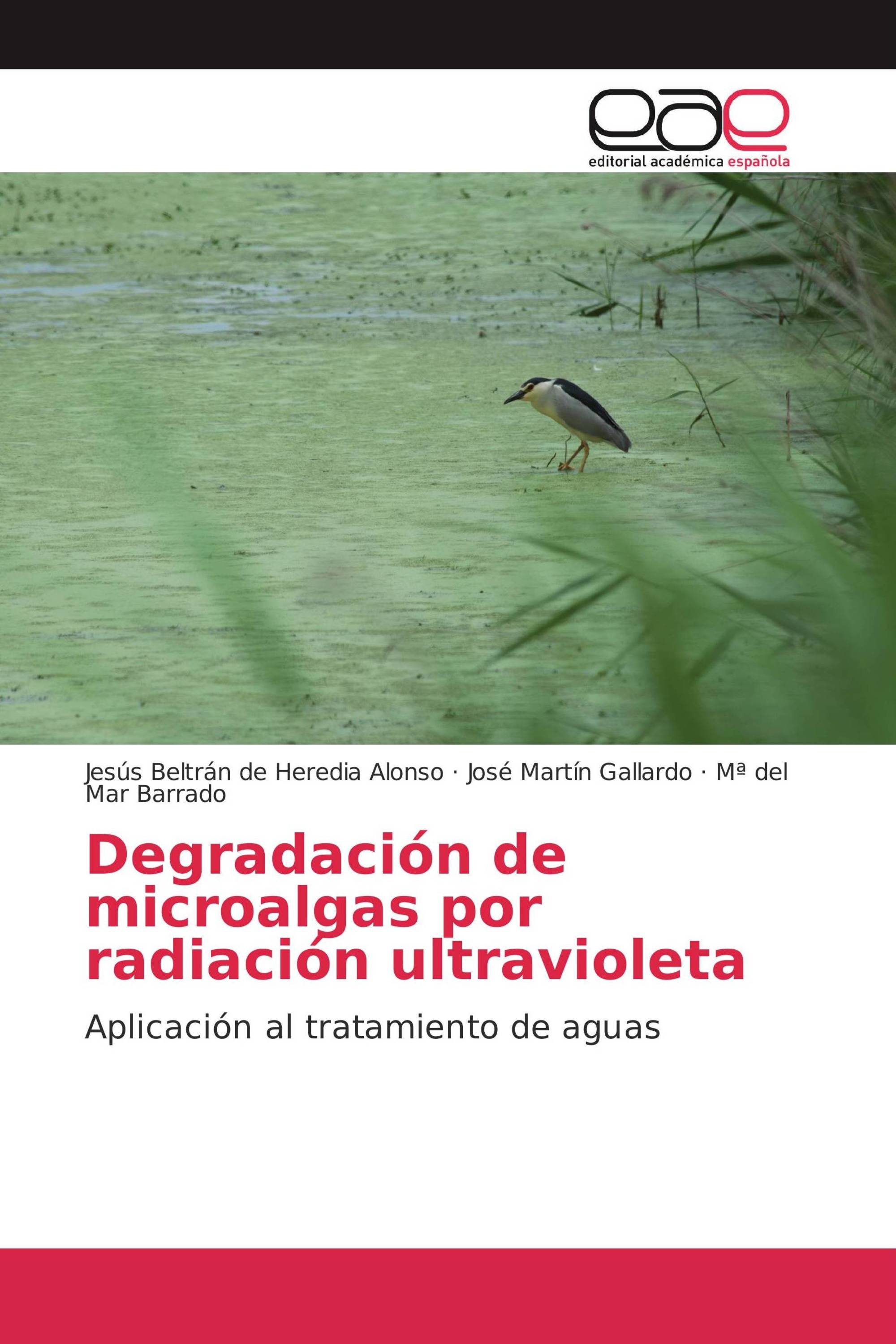 Degradación de microalgas por radiación ultravioleta