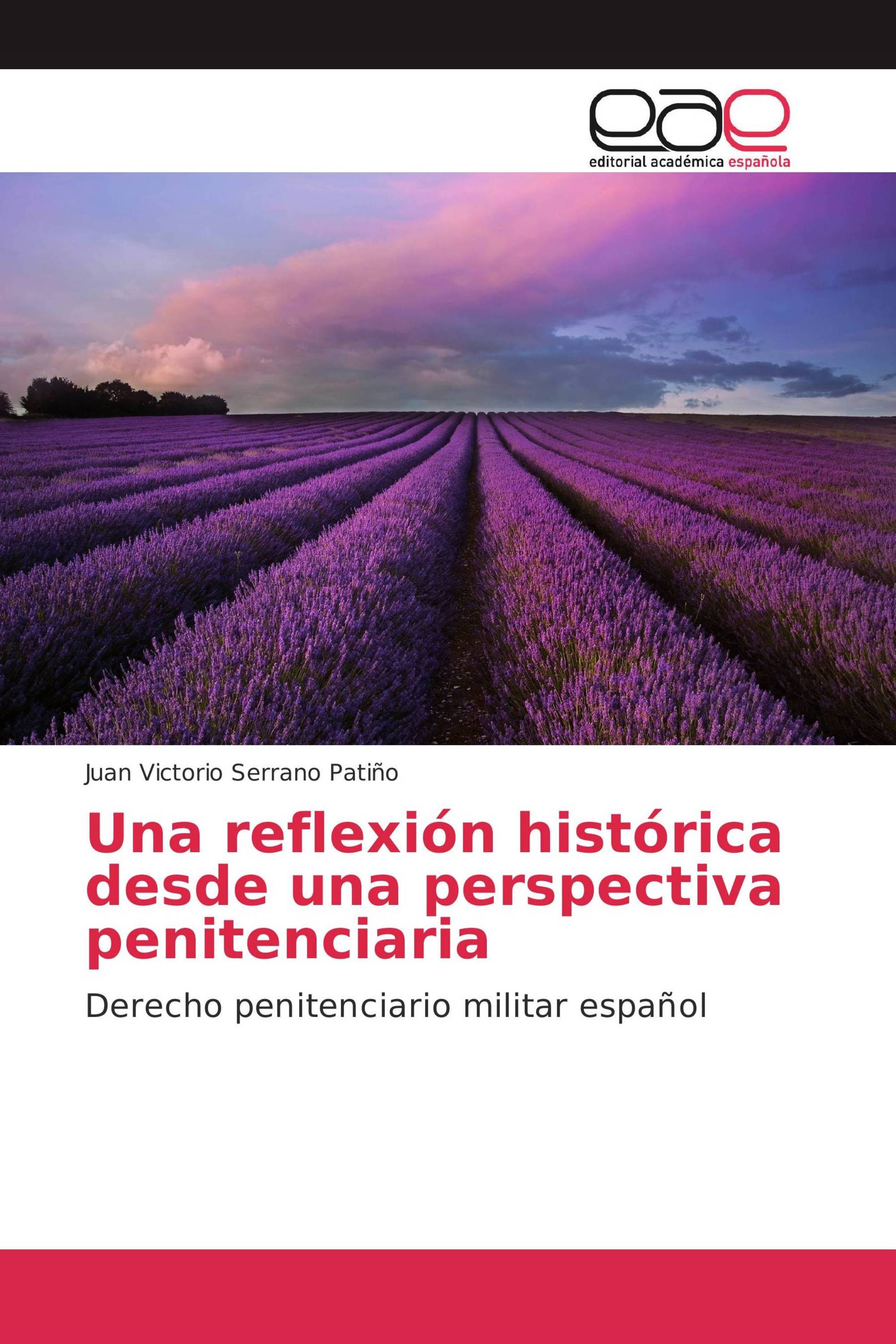 Una reflexión histórica desde una perspectiva penitenciaria