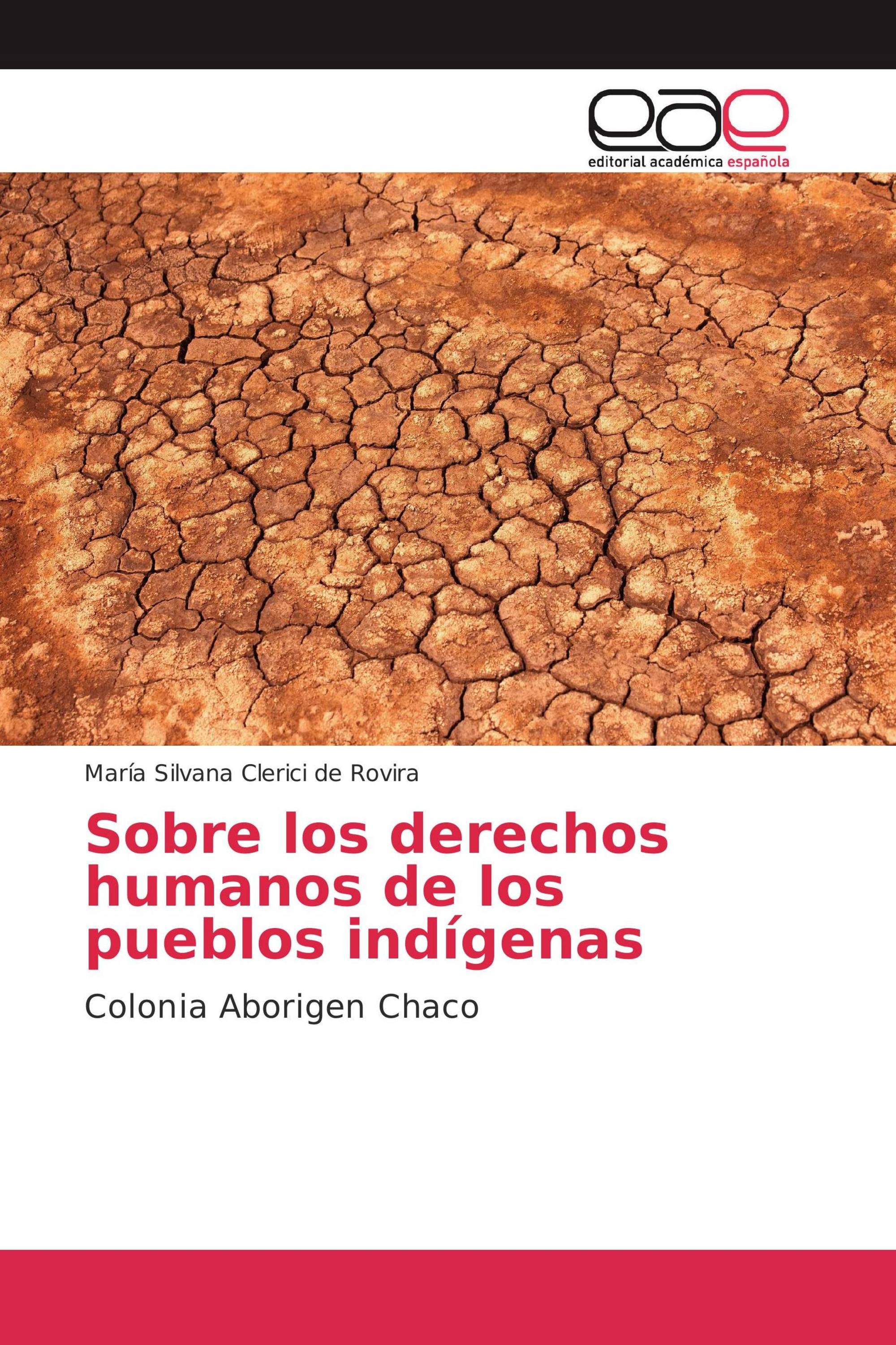 Sobre los derechos humanos de los pueblos indígenas