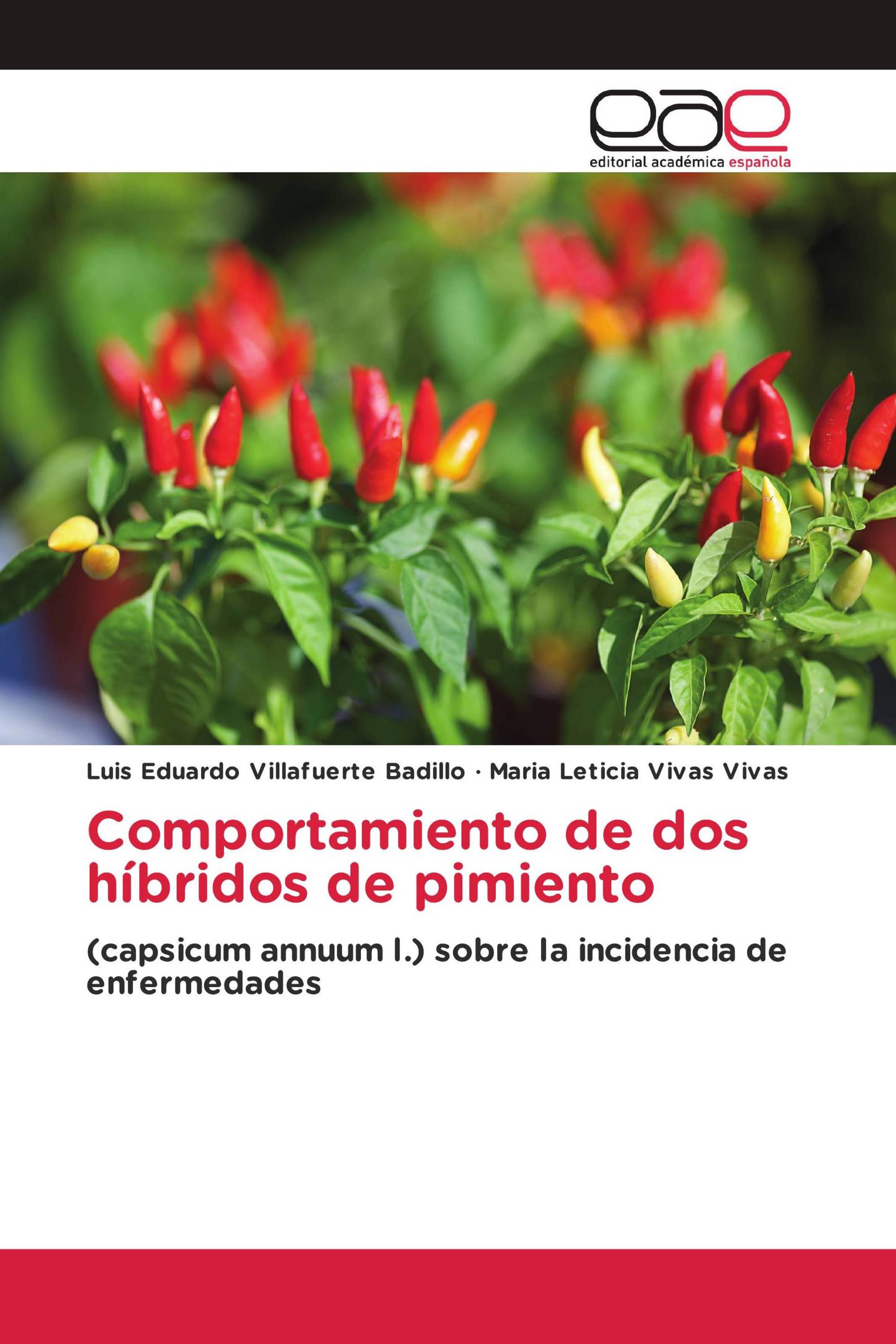 Comportamiento de dos híbridos de pimiento