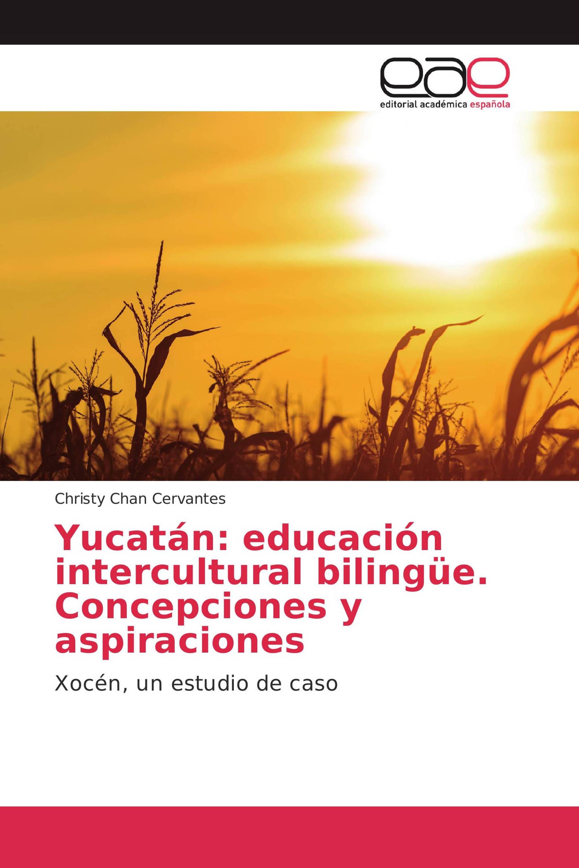 Yucatán: educación intercultural bilingüe. Concepciones y aspiraciones