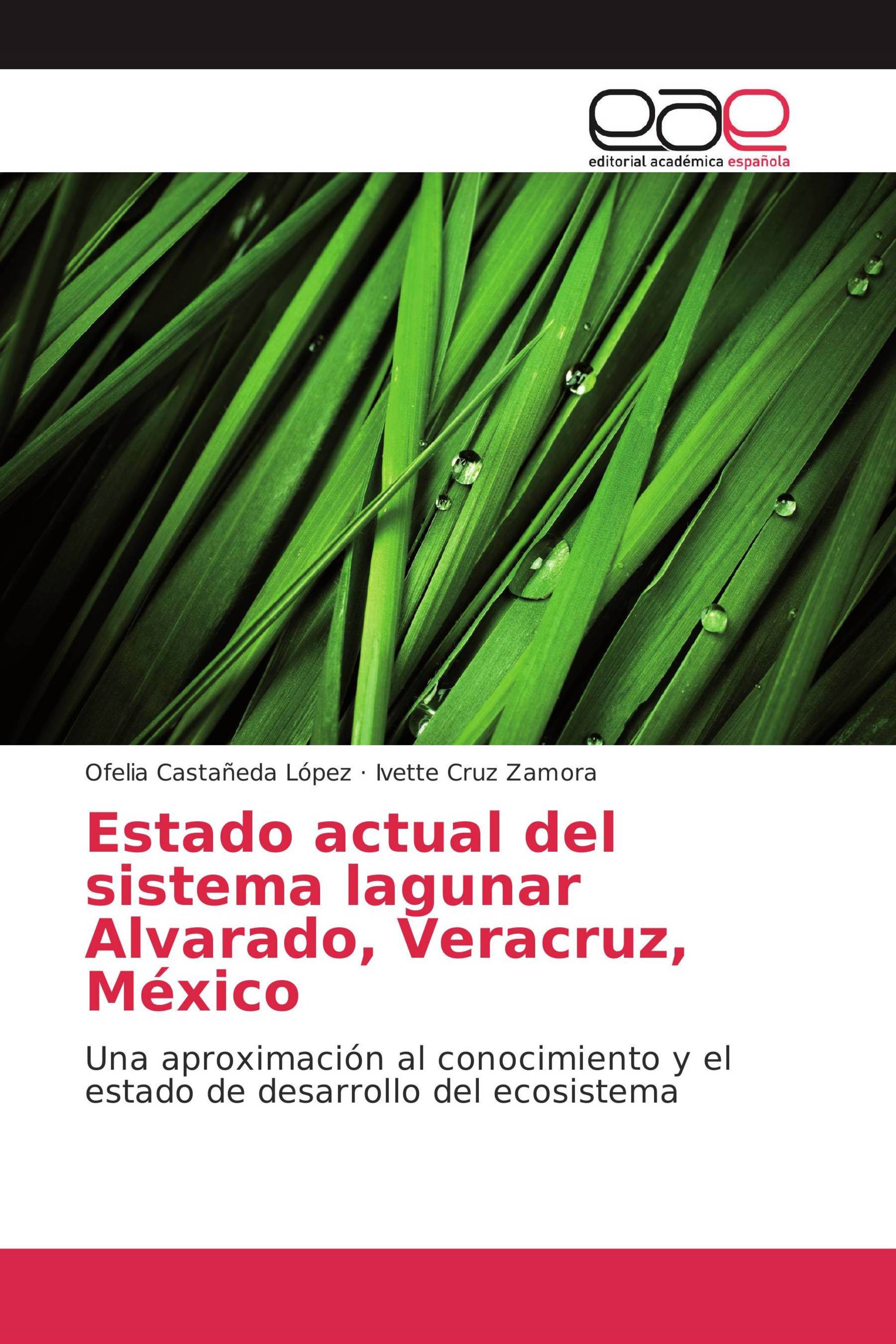 Estado actual del sistema lagunar Alvarado, Veracruz, México