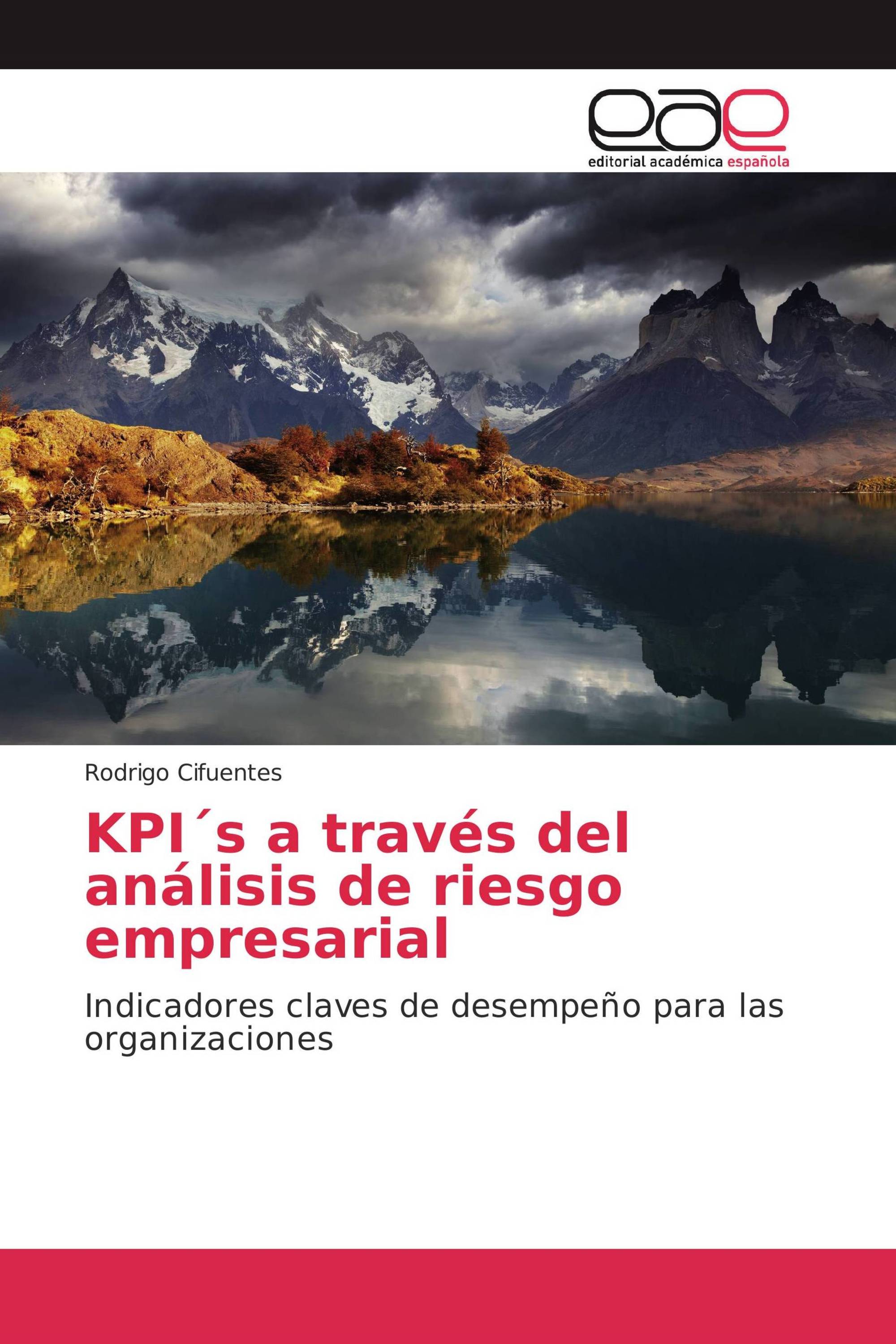 KPI´s a través del análisis de riesgo empresarial