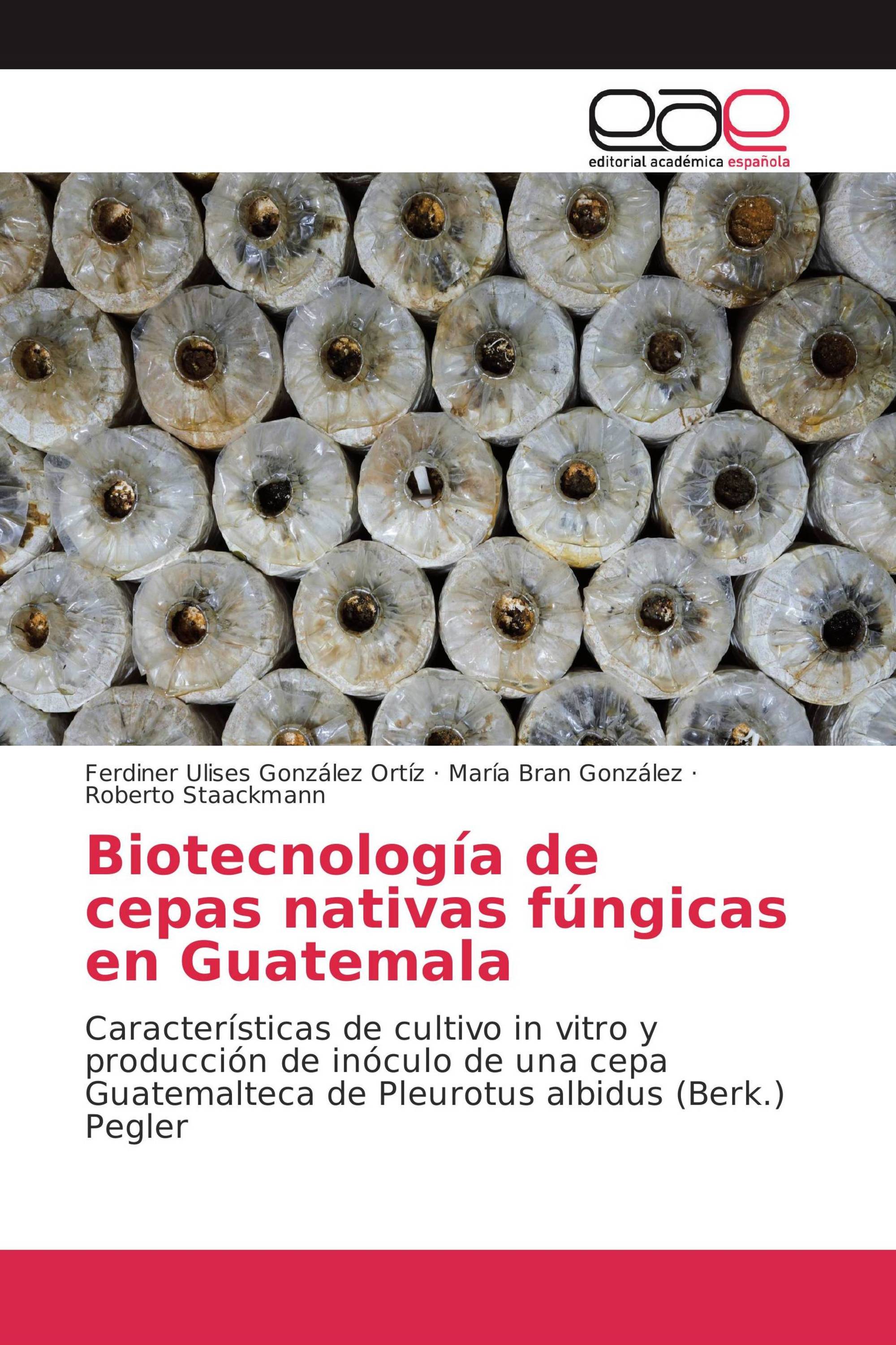 Biotecnología de cepas nativas fúngicas en Guatemala