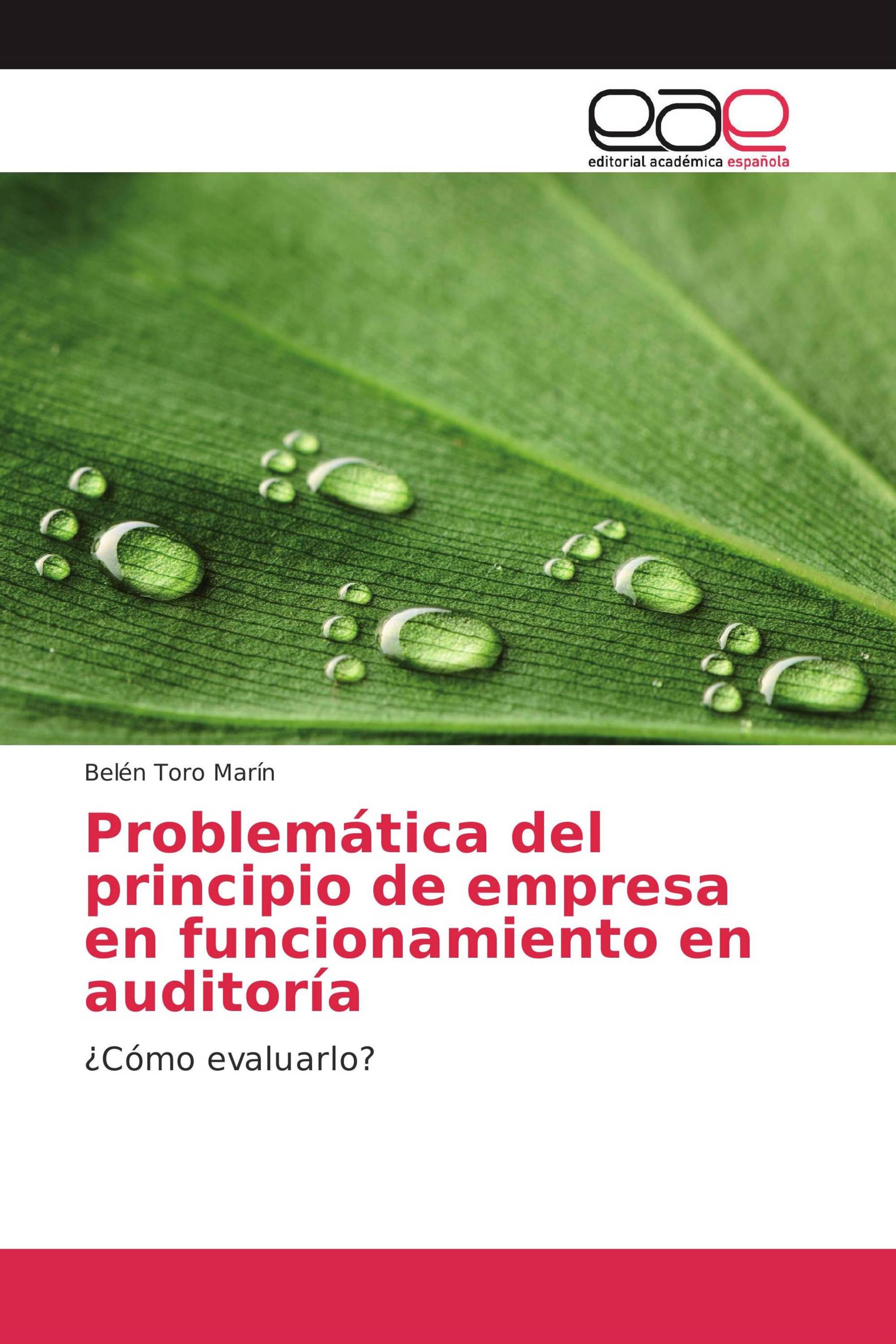 Problemática del principio de empresa en funcionamiento en auditoría