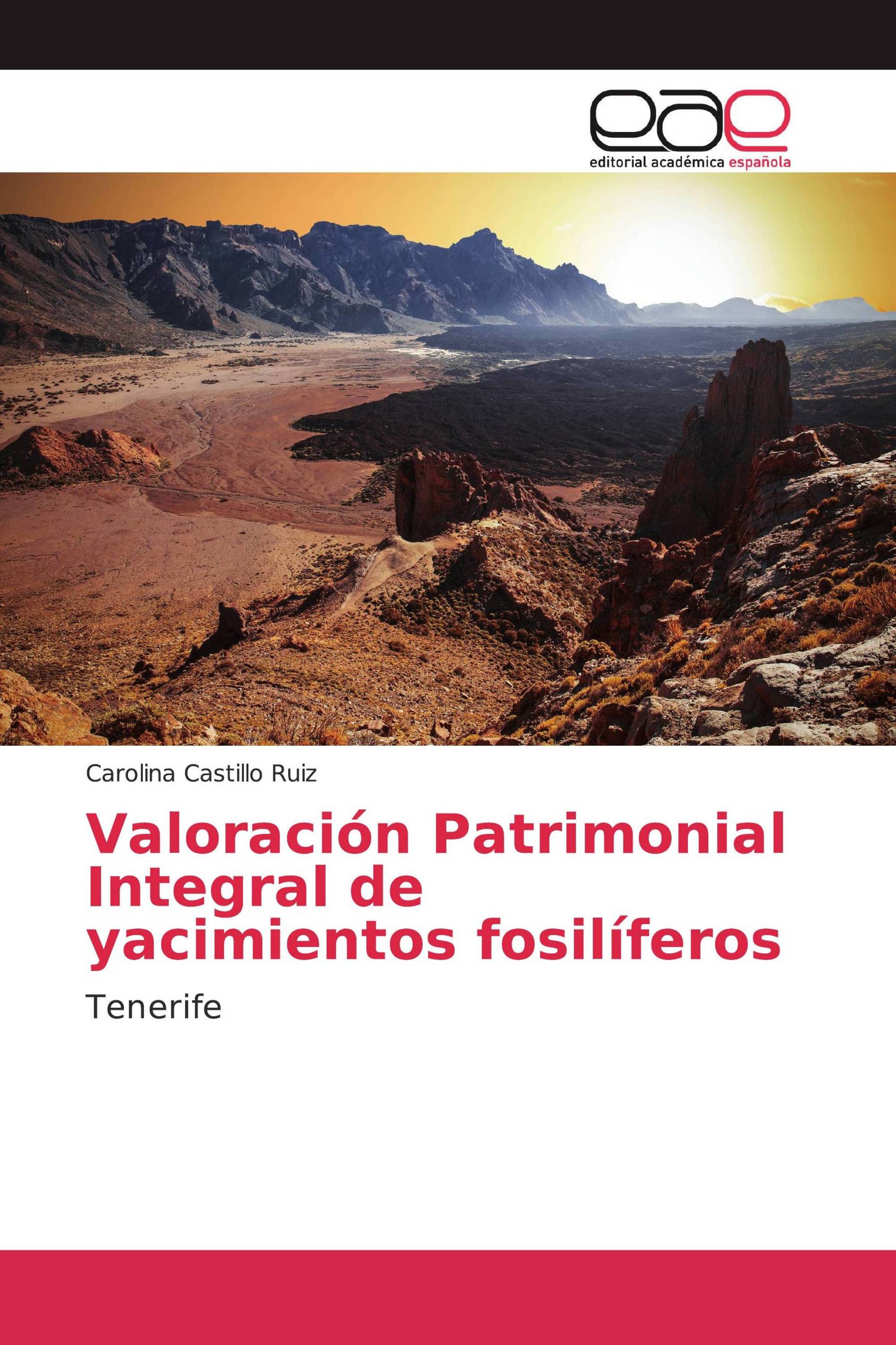 Valoración Patrimonial Integral de yacimientos fosilíferos