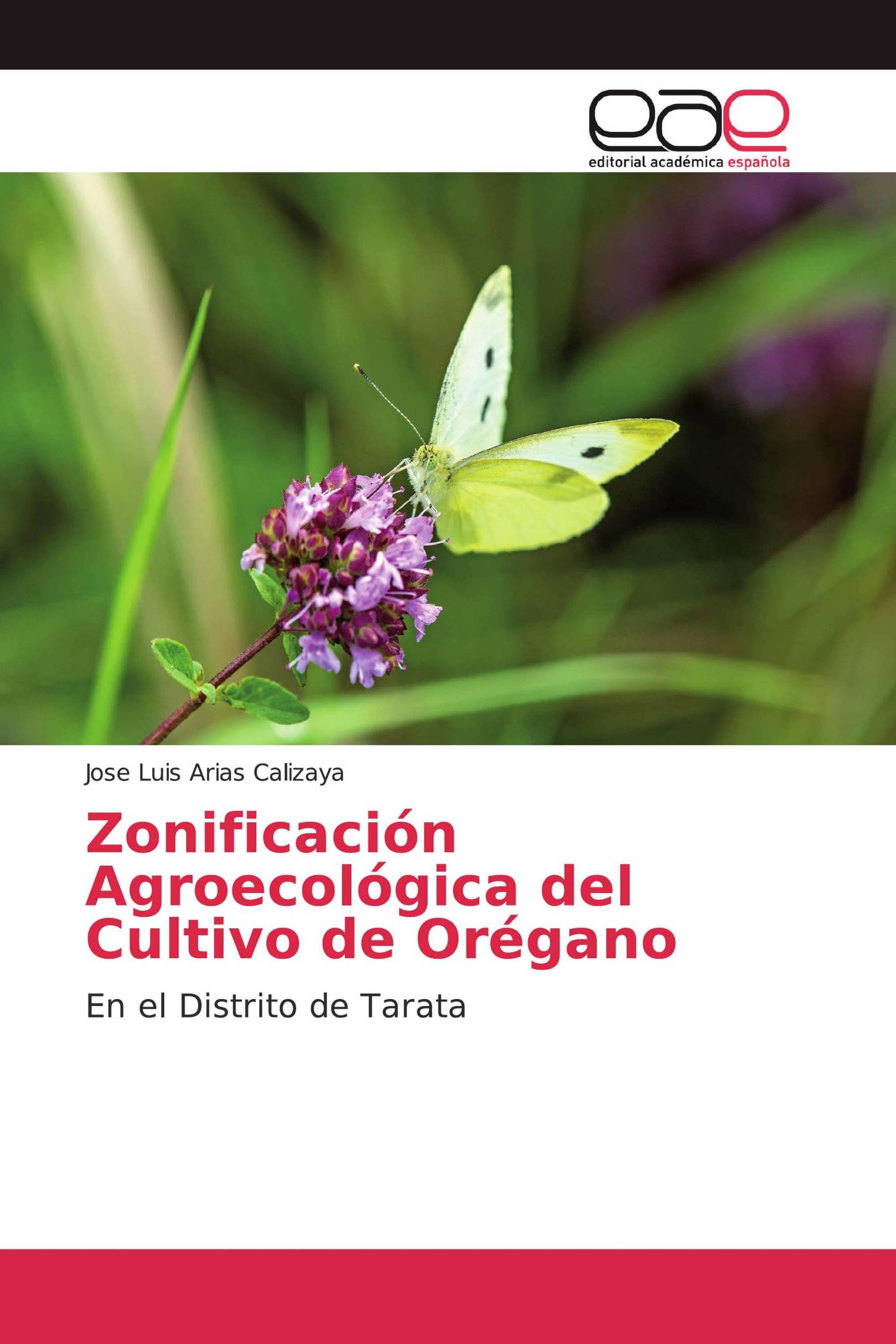 Zonificación Agroecológica del Cultivo de Orégano