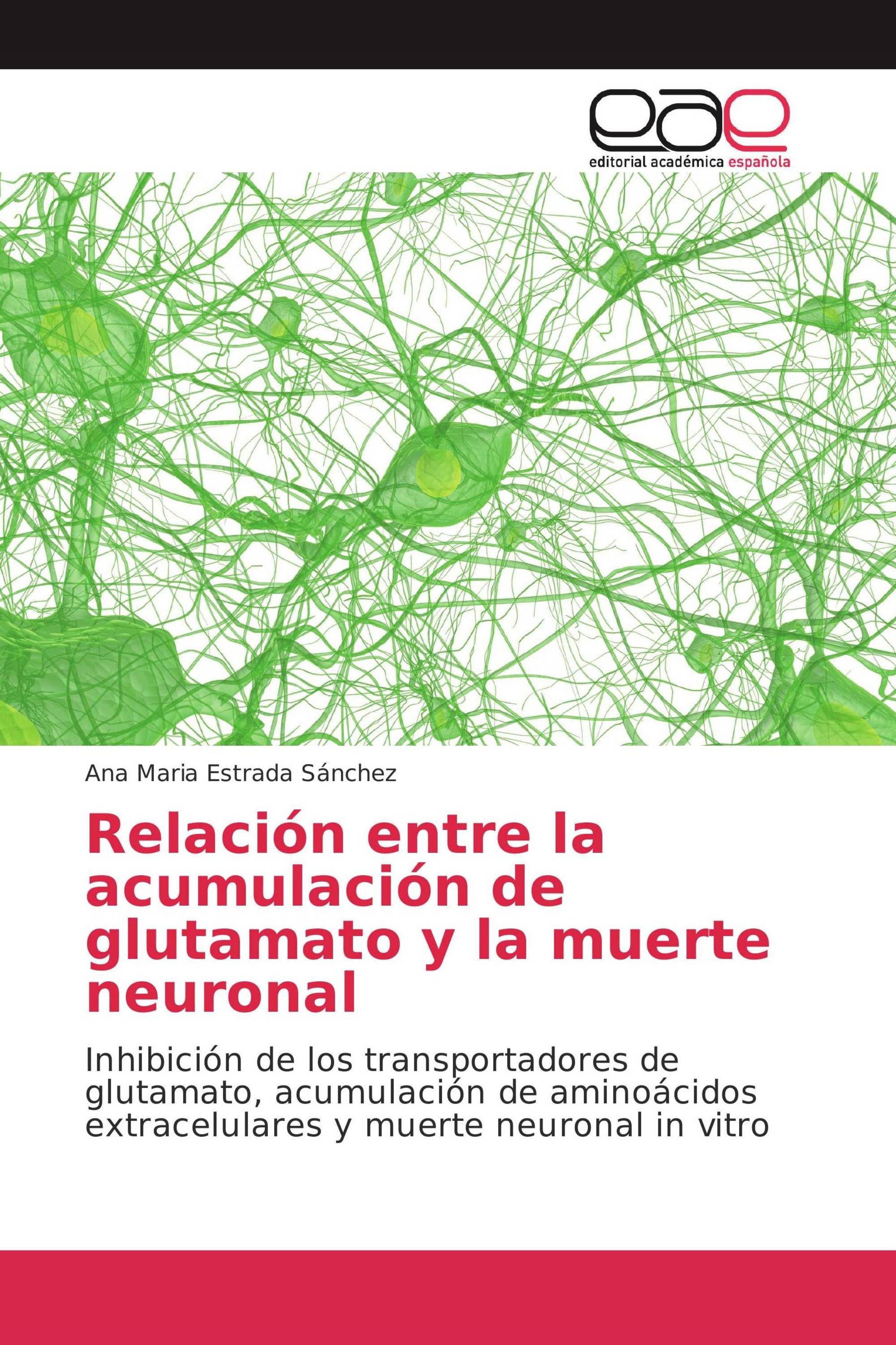 Relación entre la acumulación de glutamato y la muerte neuronal