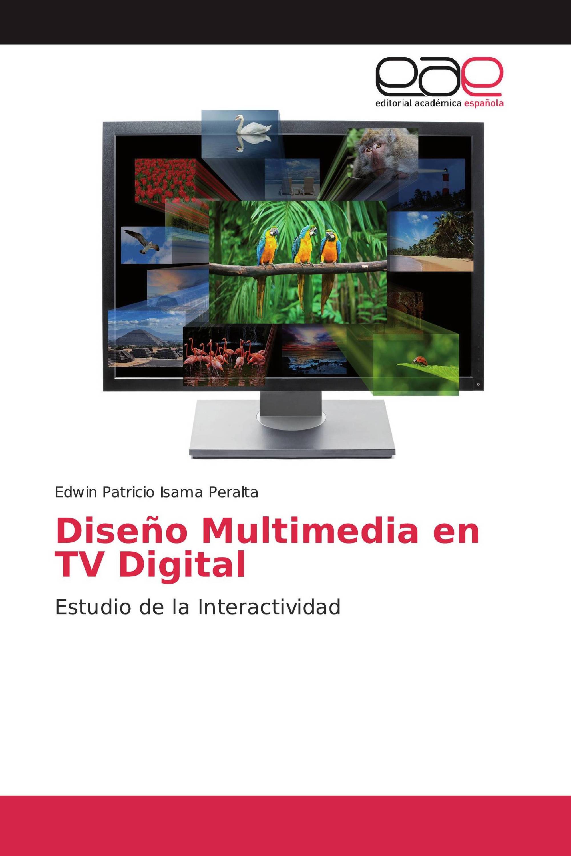 Diseño Multimedia en TV Digital