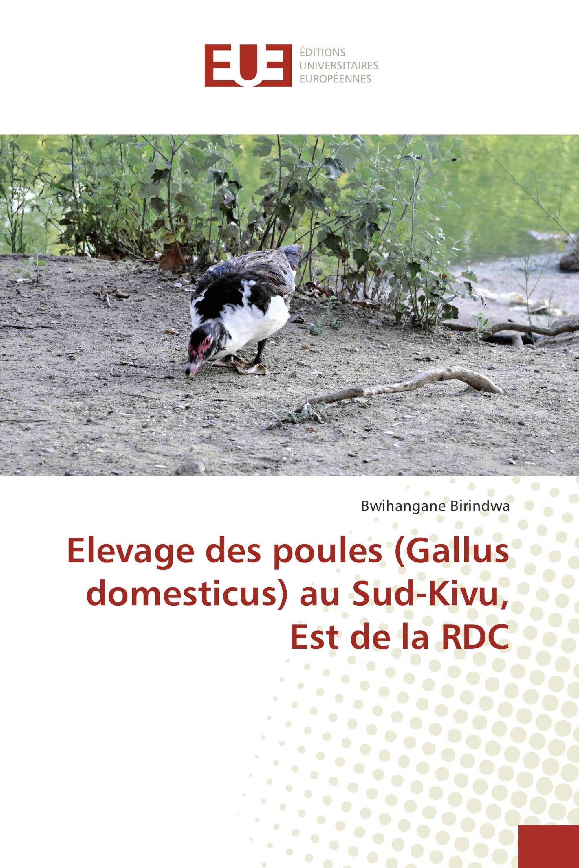 Elevage des poules (Gallus domesticus) au Sud-Kivu, Est de la RDC