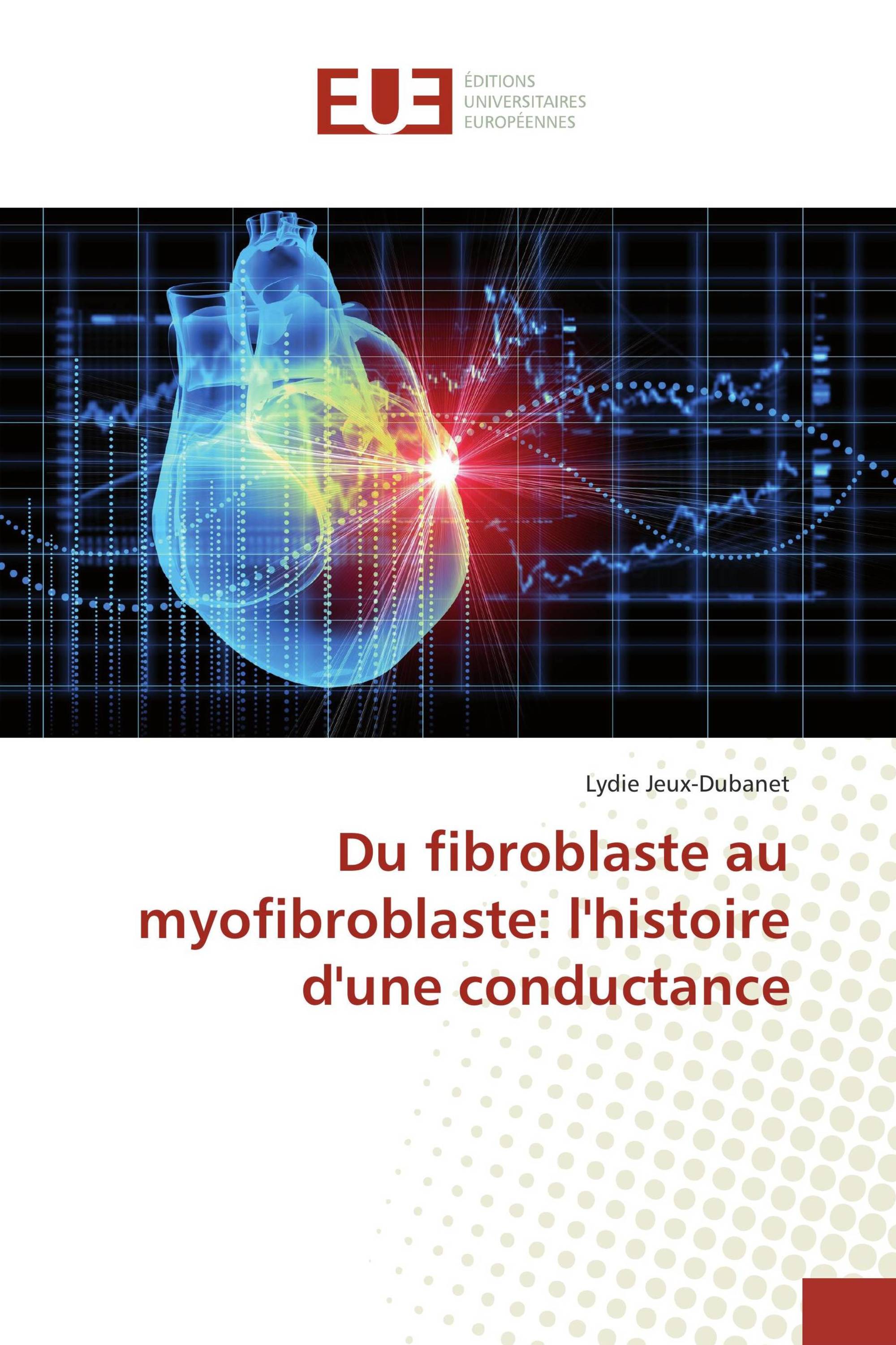 Du fibroblaste au myofibroblaste: l'histoire d'une conductance