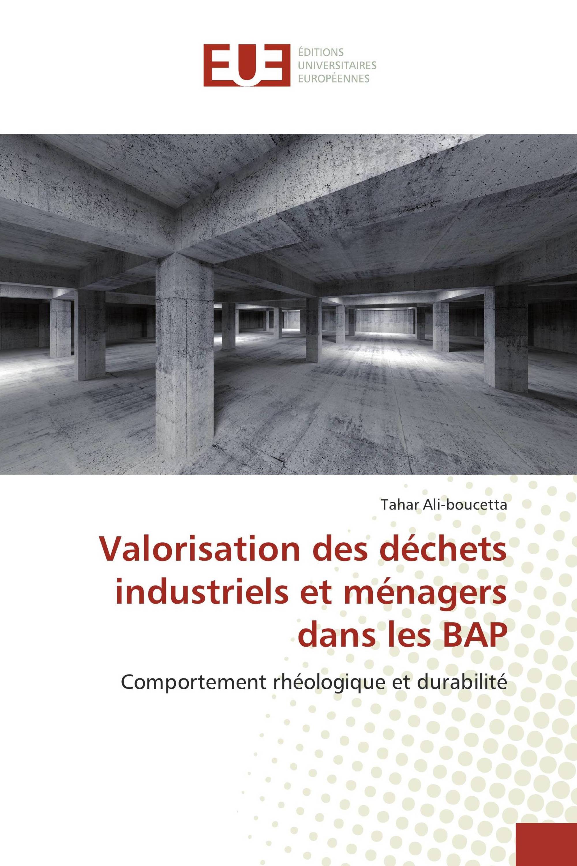 Valorisation des déchets industriels et ménagers dans les BAP