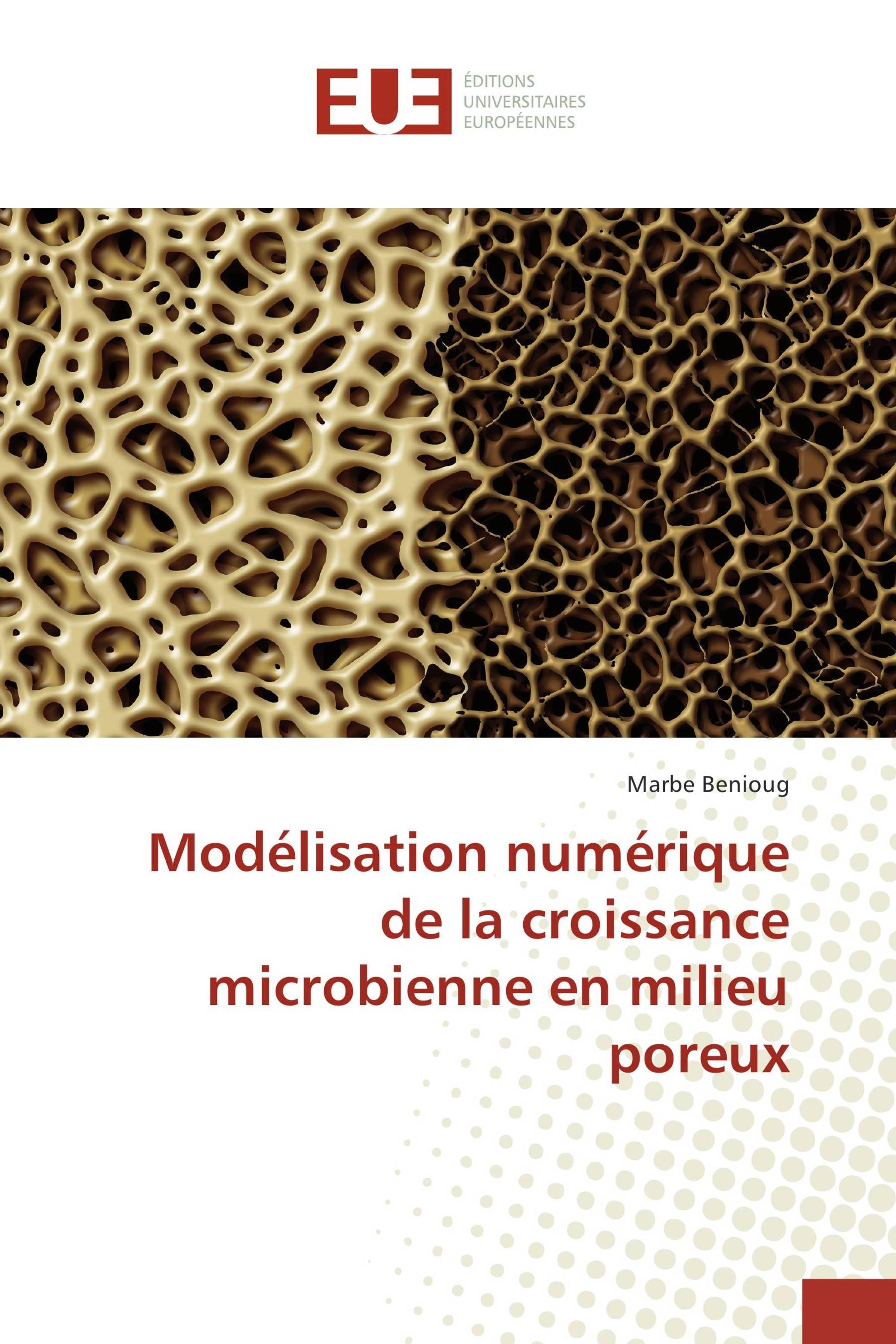 Modélisation numérique de la croissance microbienne en milieu poreux