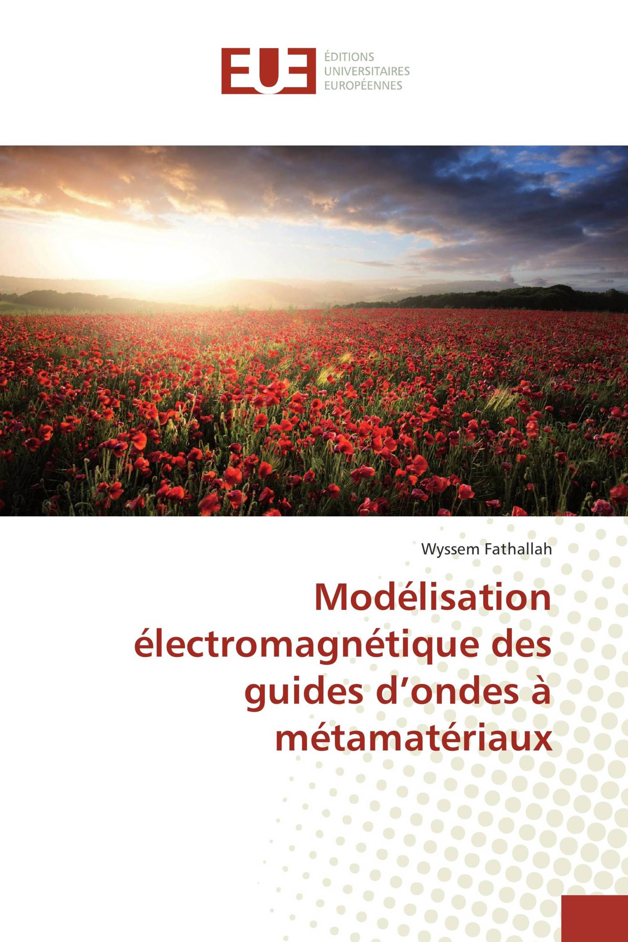 Modélisation électromagnétique des guides d’ondes à métamatériaux