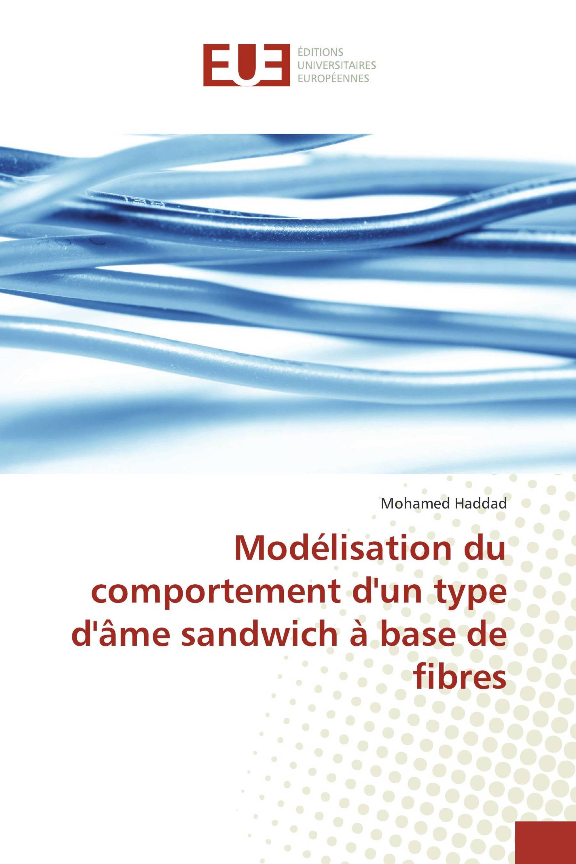 Modélisation du comportement d'un type d'âme sandwich à base de fibres