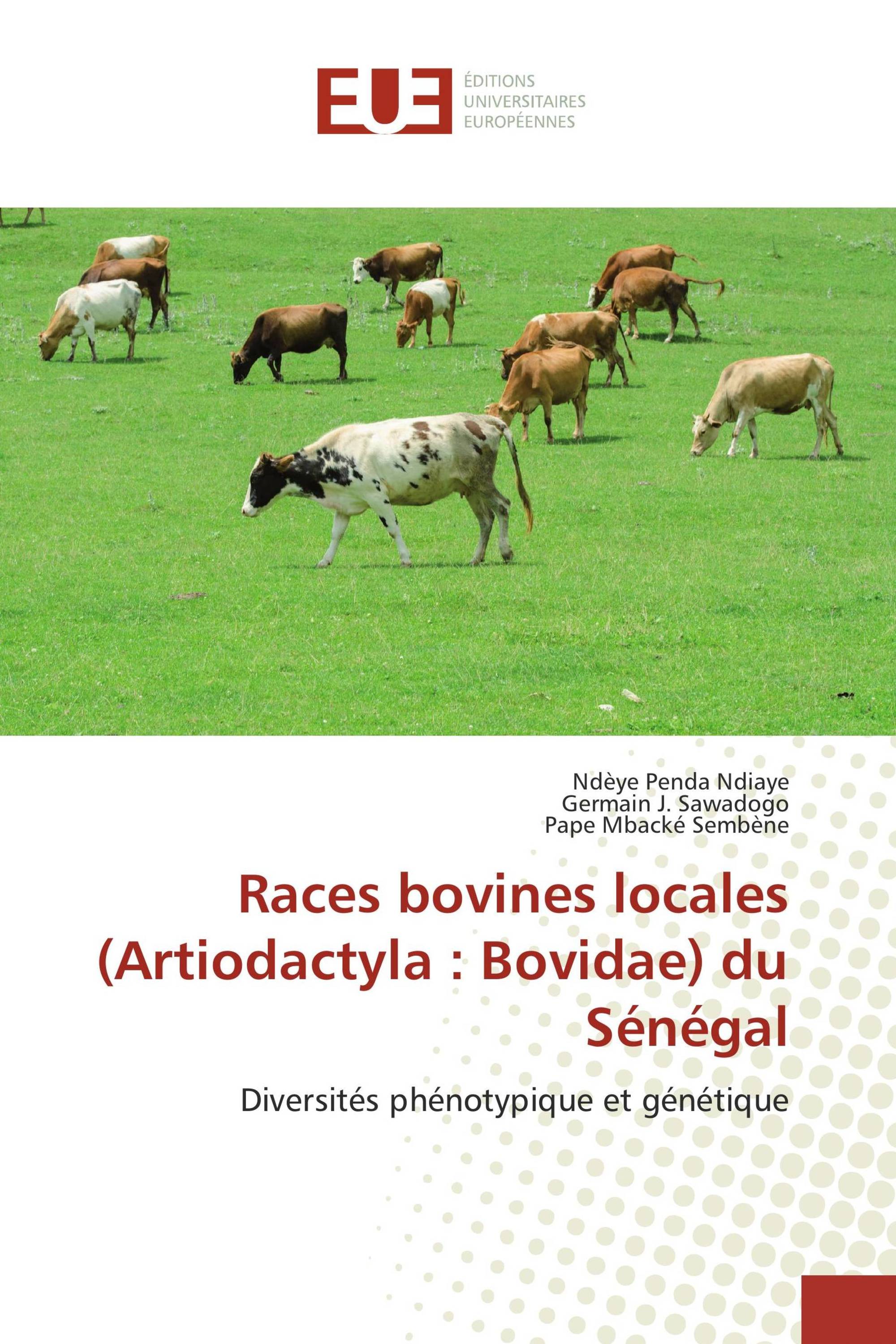 Races bovines locales (Artiodactyla : Bovidae) du Sénégal