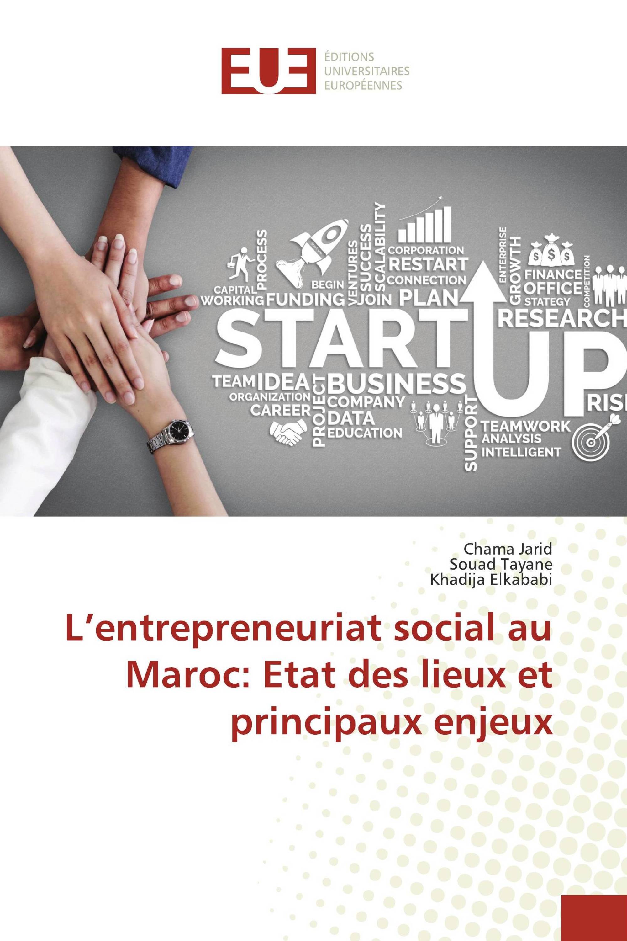 L’entrepreneuriat social au Maroc: Etat des lieux et principaux enjeux