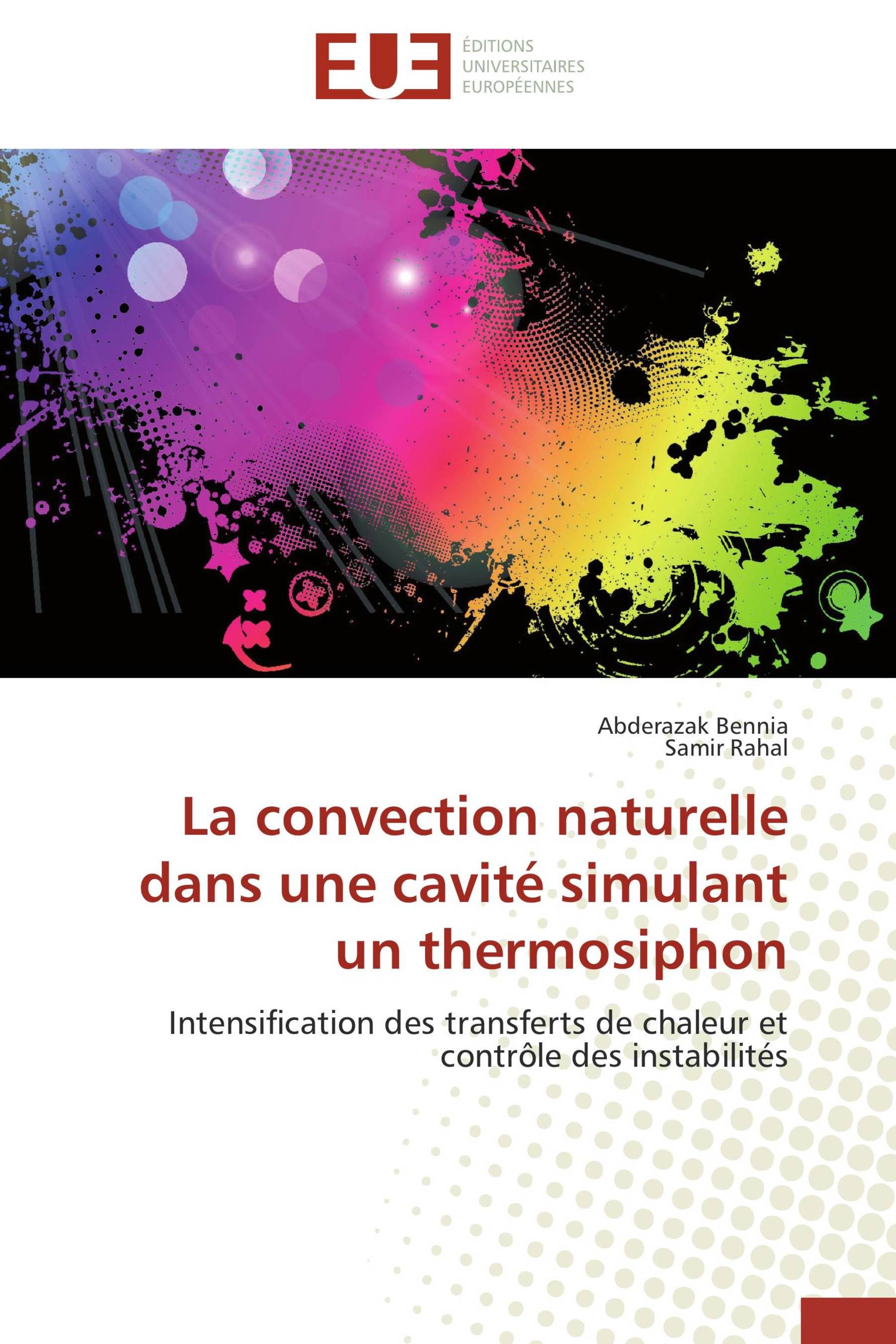 La convection naturelle dans une cavité simulant un thermosiphon