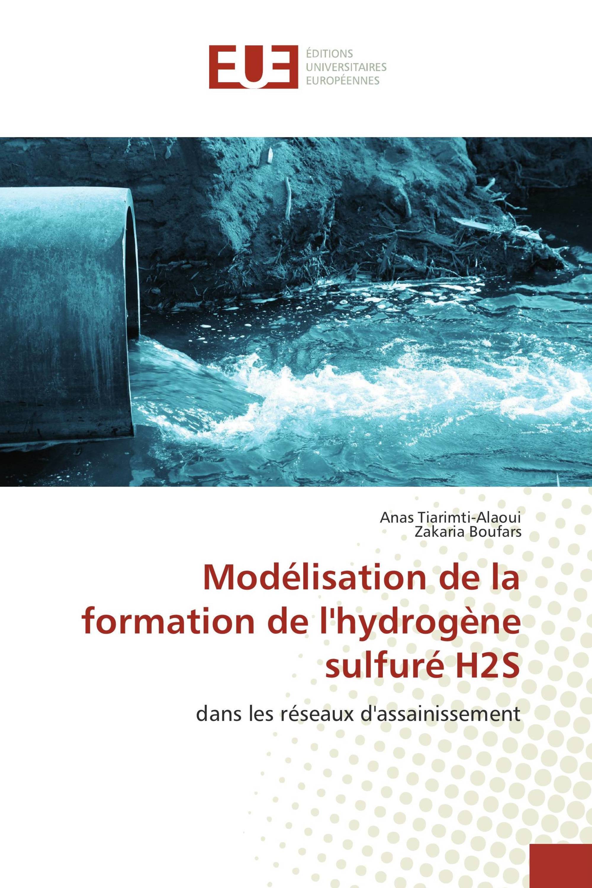 Modélisation de la formation de l'hydrogène sulfuré H2S