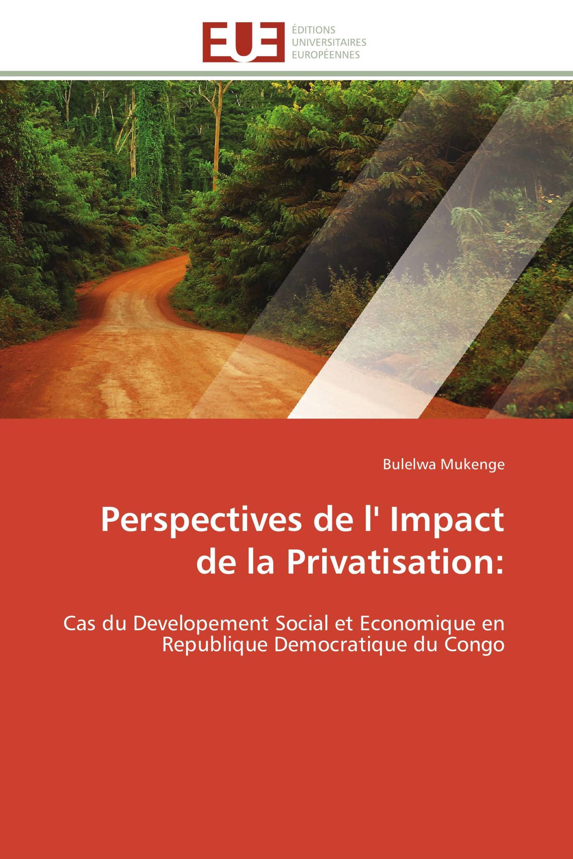 Perspectives de l' Impact de la Privatisation: