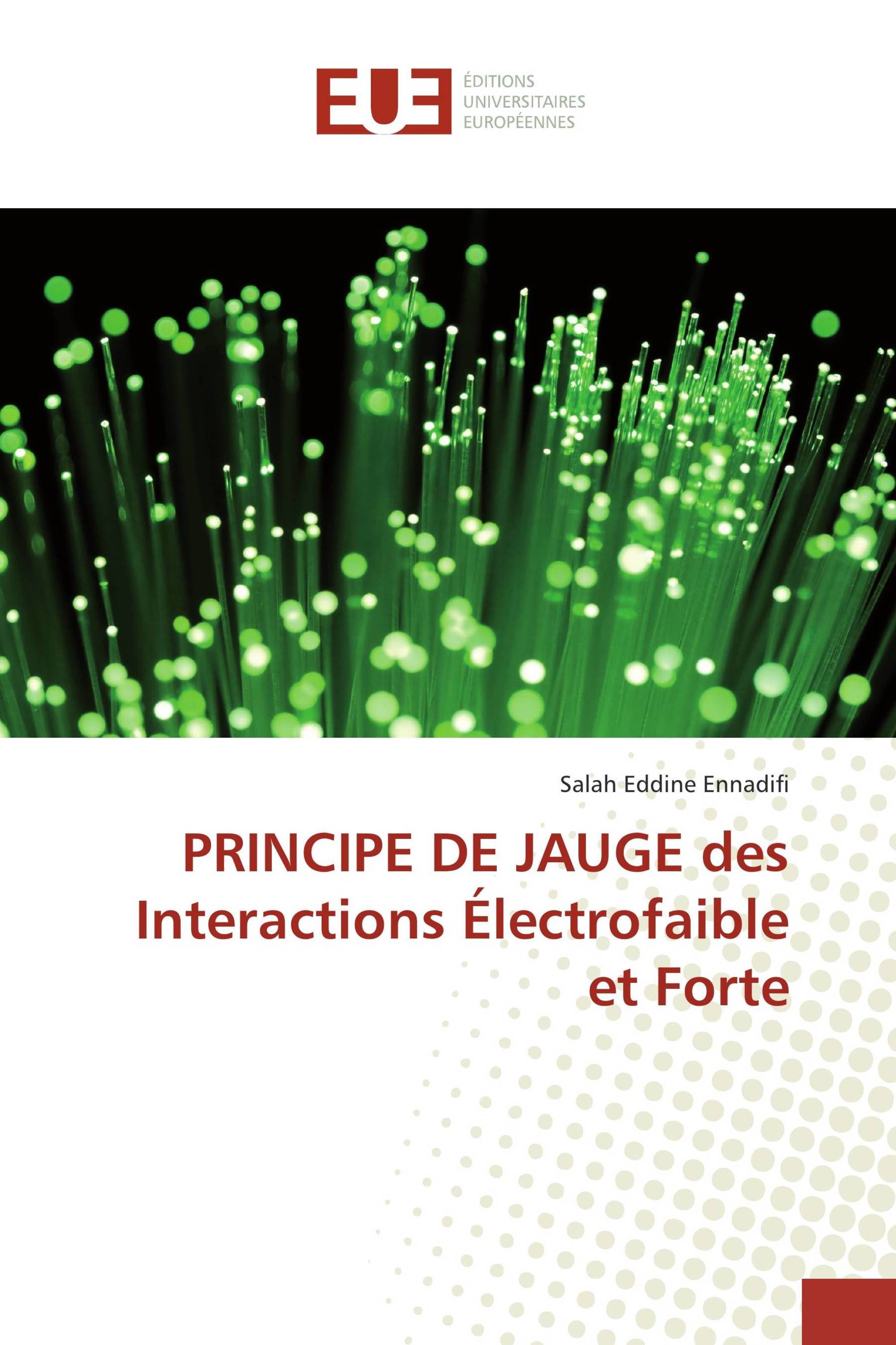 PRINCIPE DE JAUGE des Interactions Électrofaible et Forte