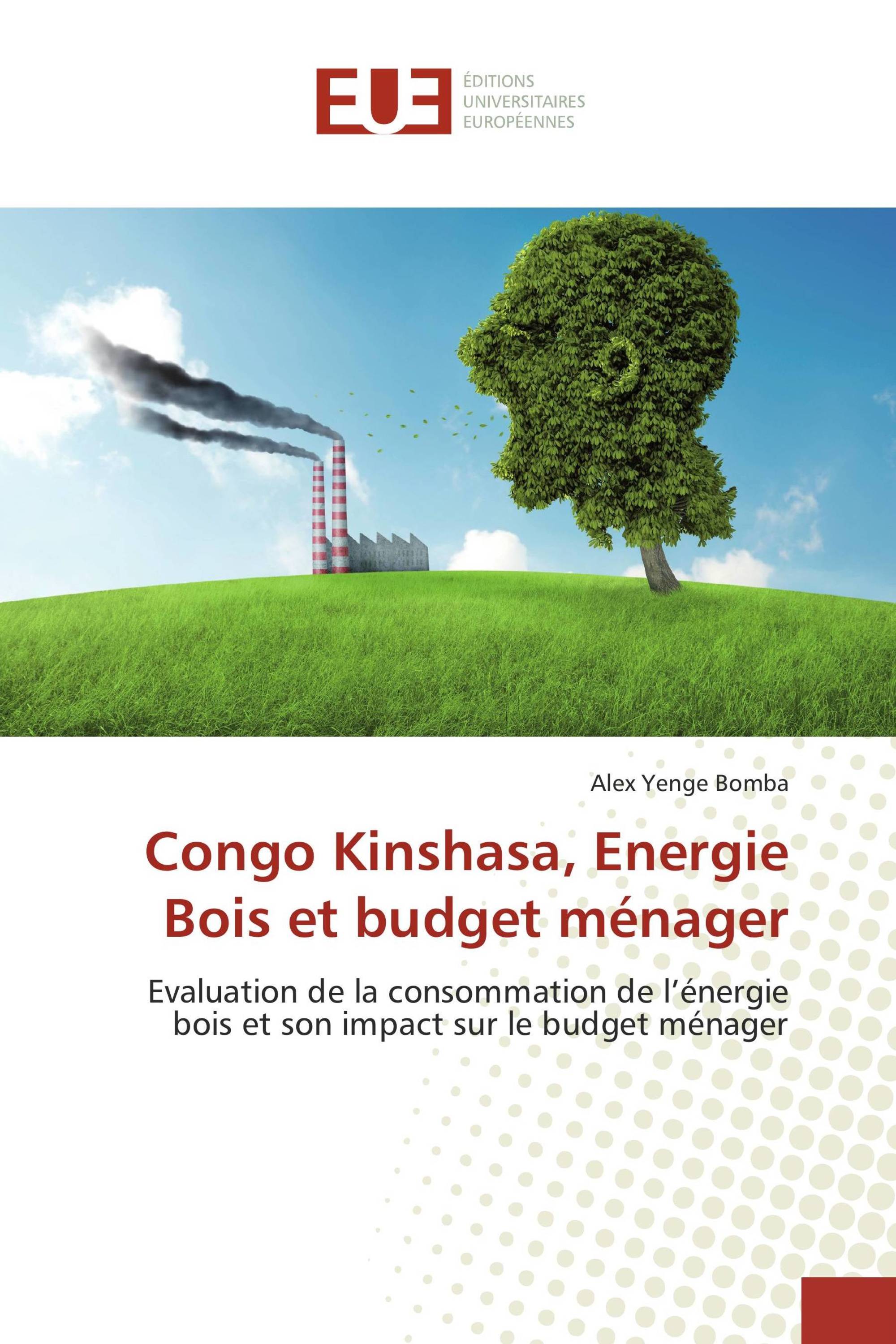 Congo Kinshasa, Energie Bois et budget ménager