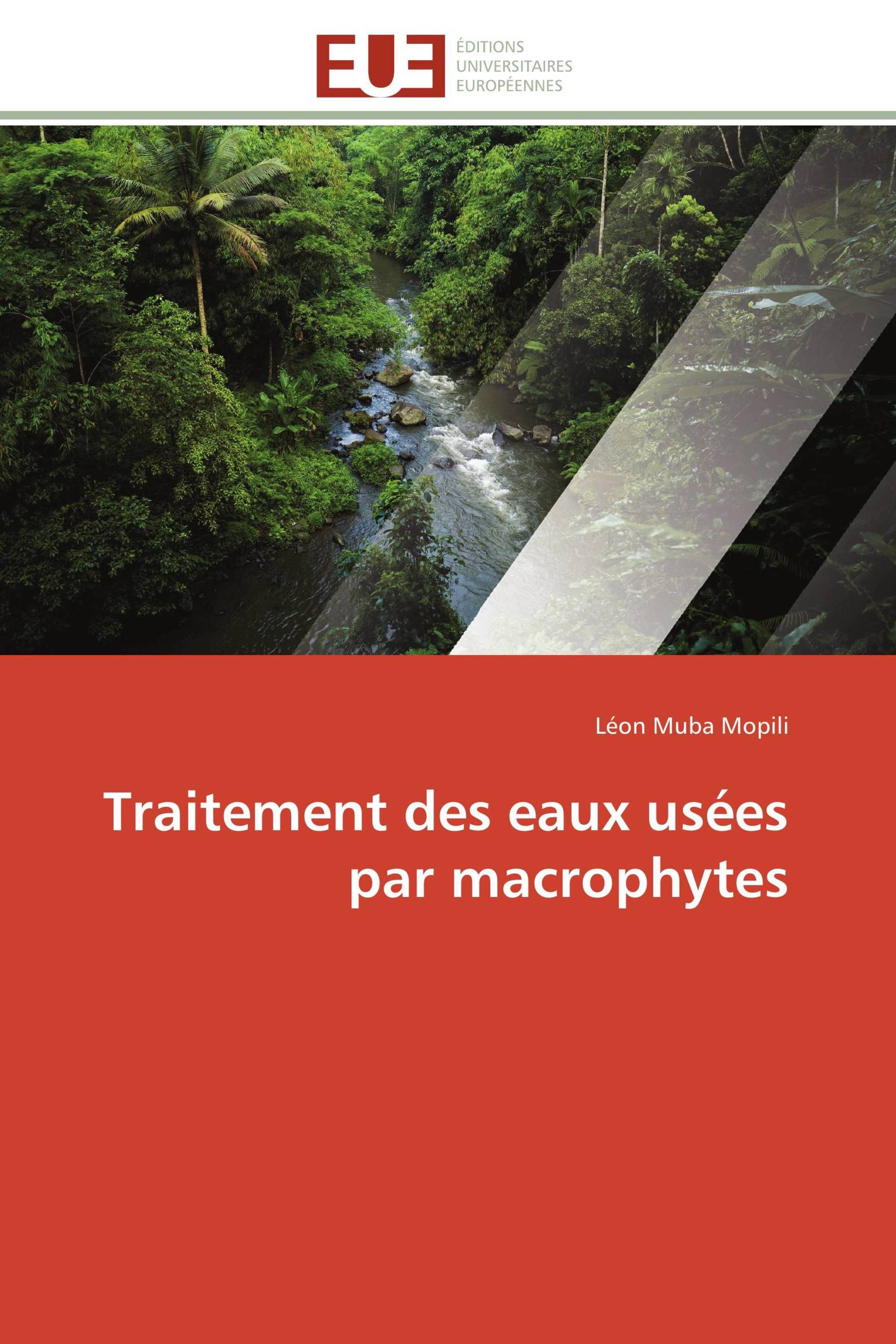 Traitement des eaux usées par macrophytes