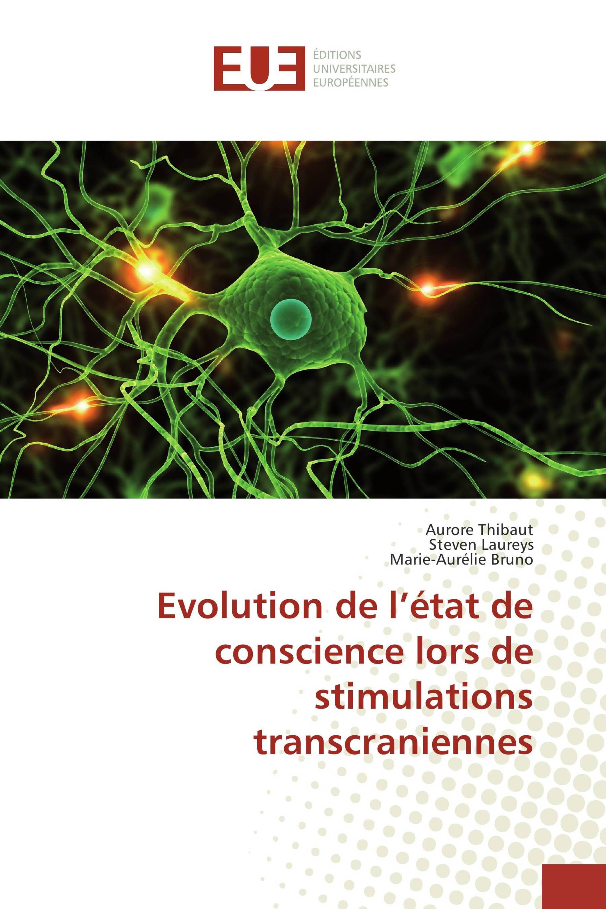 Evolution de l’état de conscience lors de stimulations transcraniennes