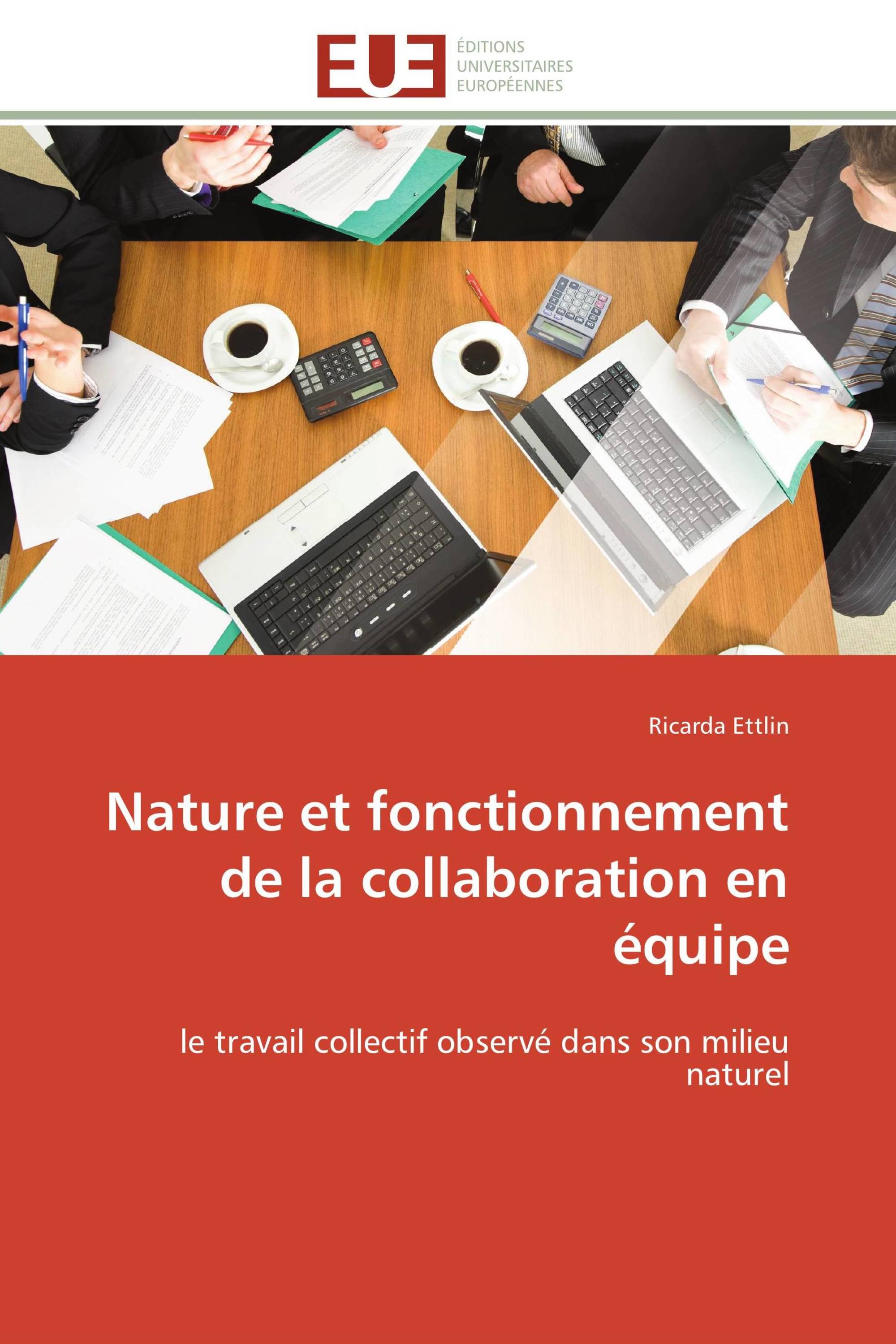 Nature et fonctionnement de la collaboration en équipe