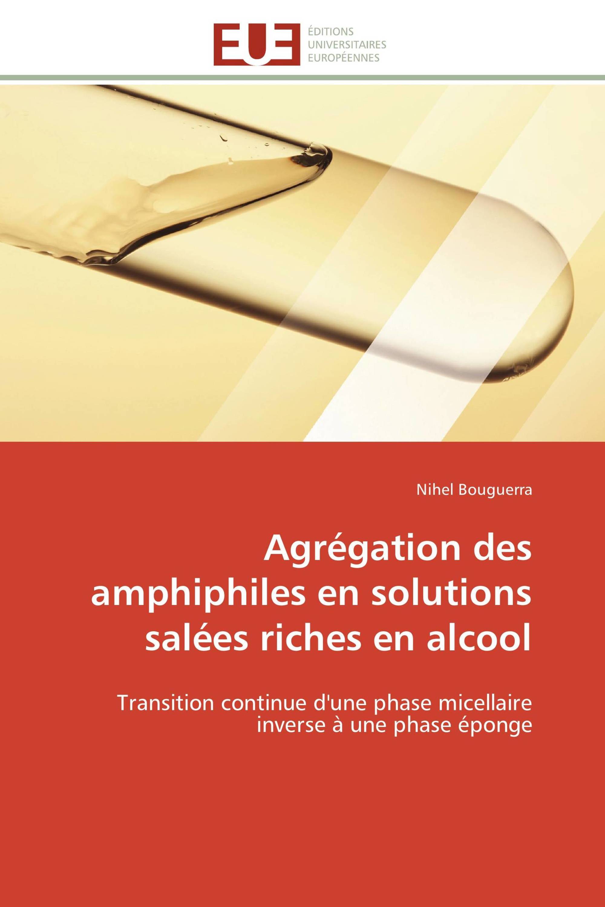 Agrégation des amphiphiles en solutions salées riches en alcool