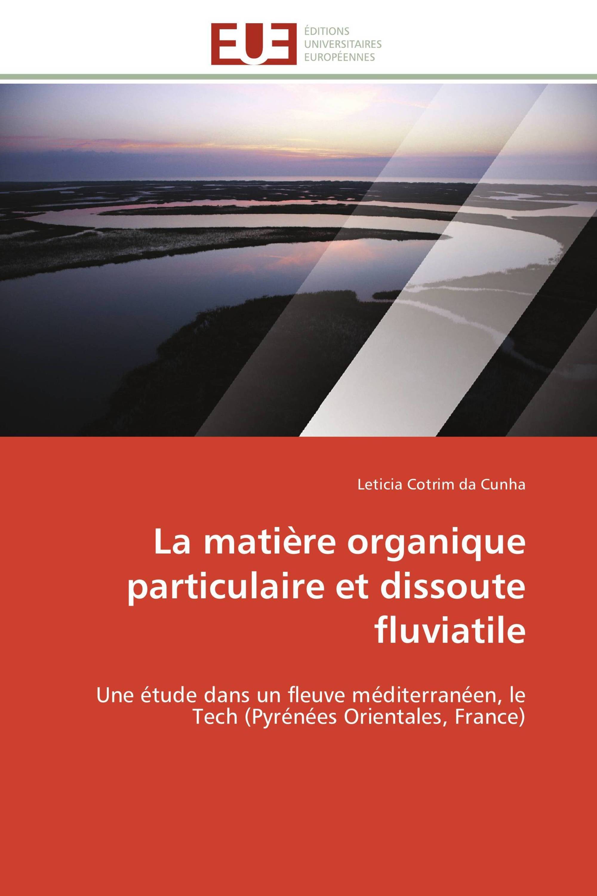 La matière organique particulaire et dissoute fluviatile