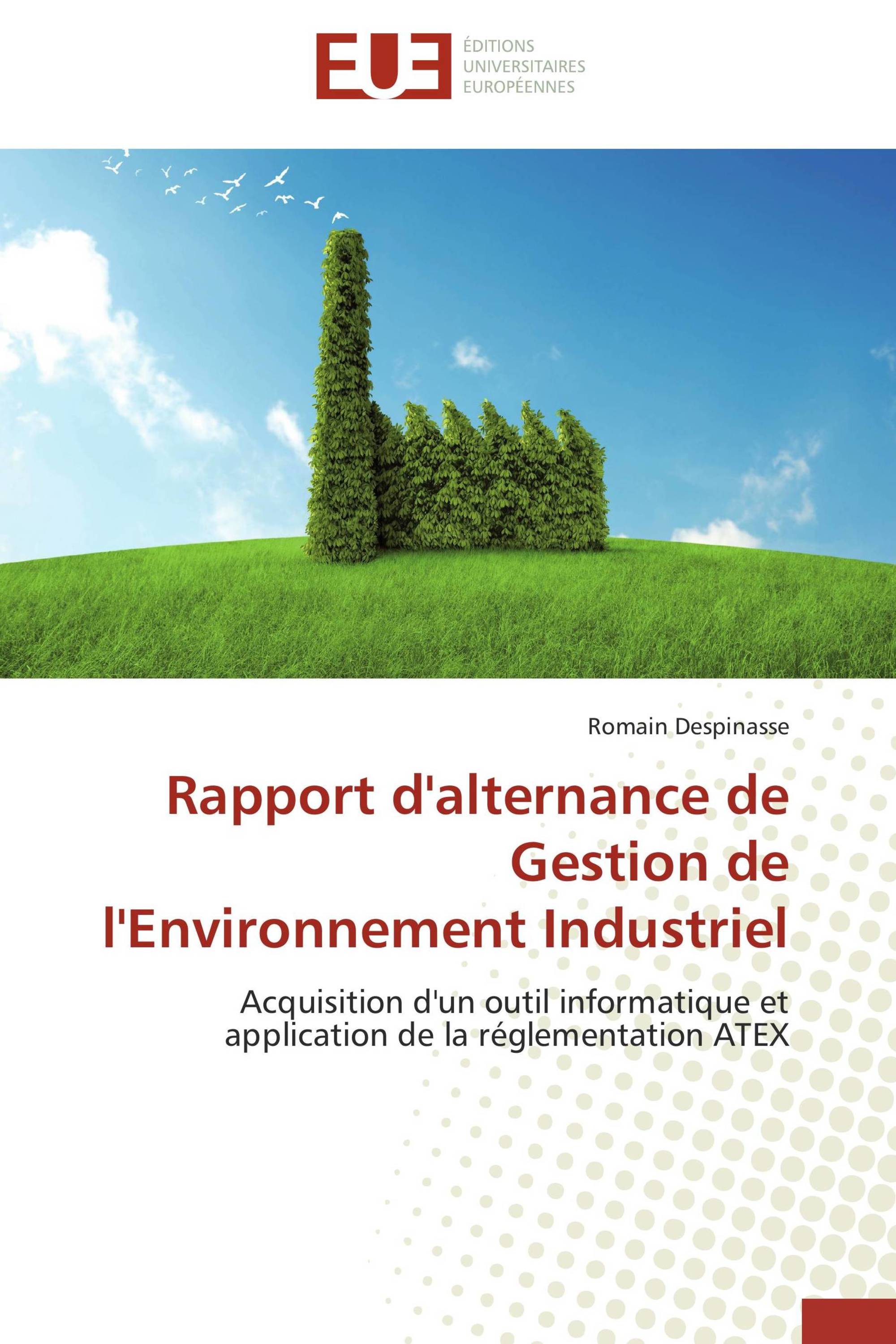 Rapport d'alternance de Gestion de l'Environnement Industriel