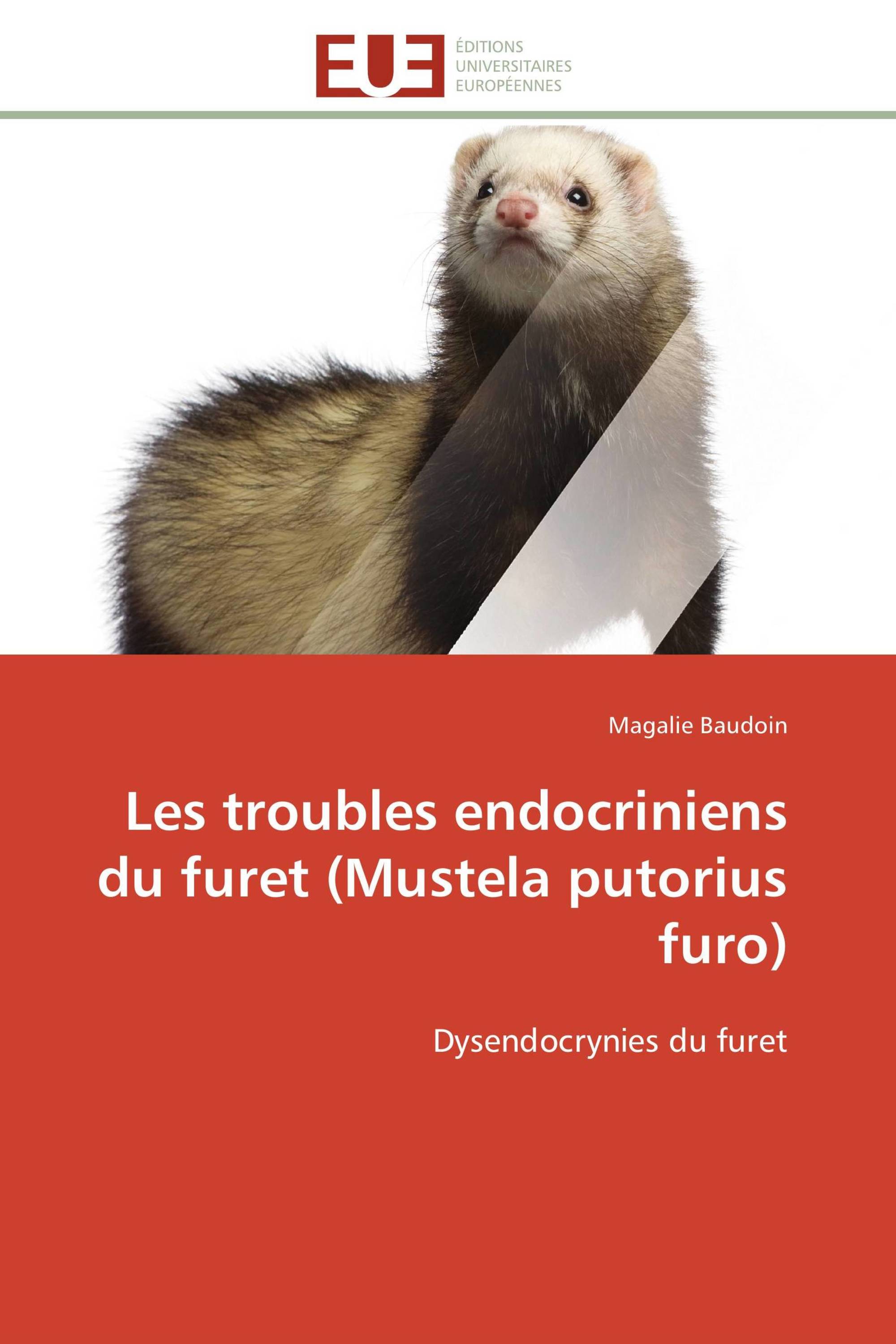 Les troubles endocriniens du furet (Mustela putorius furo)