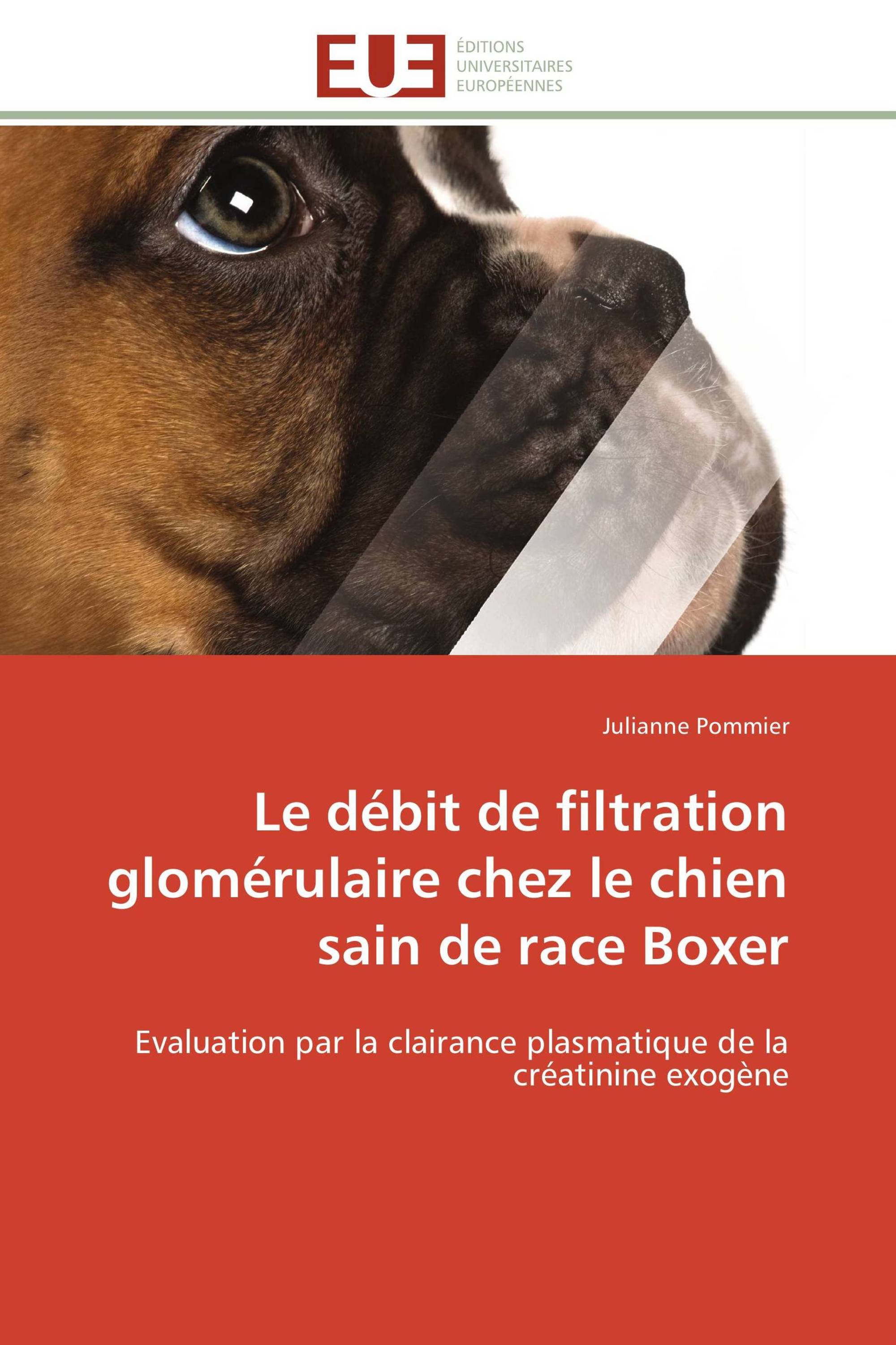 Le débit de filtration glomérulaire chez le chien sain de race Boxer