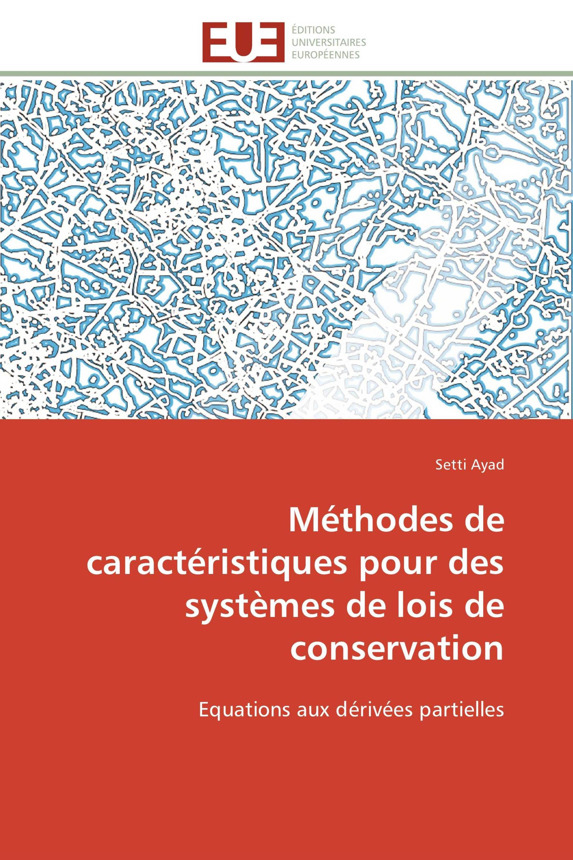 Méthodes de caractéristiques pour des systèmes de lois de conservation