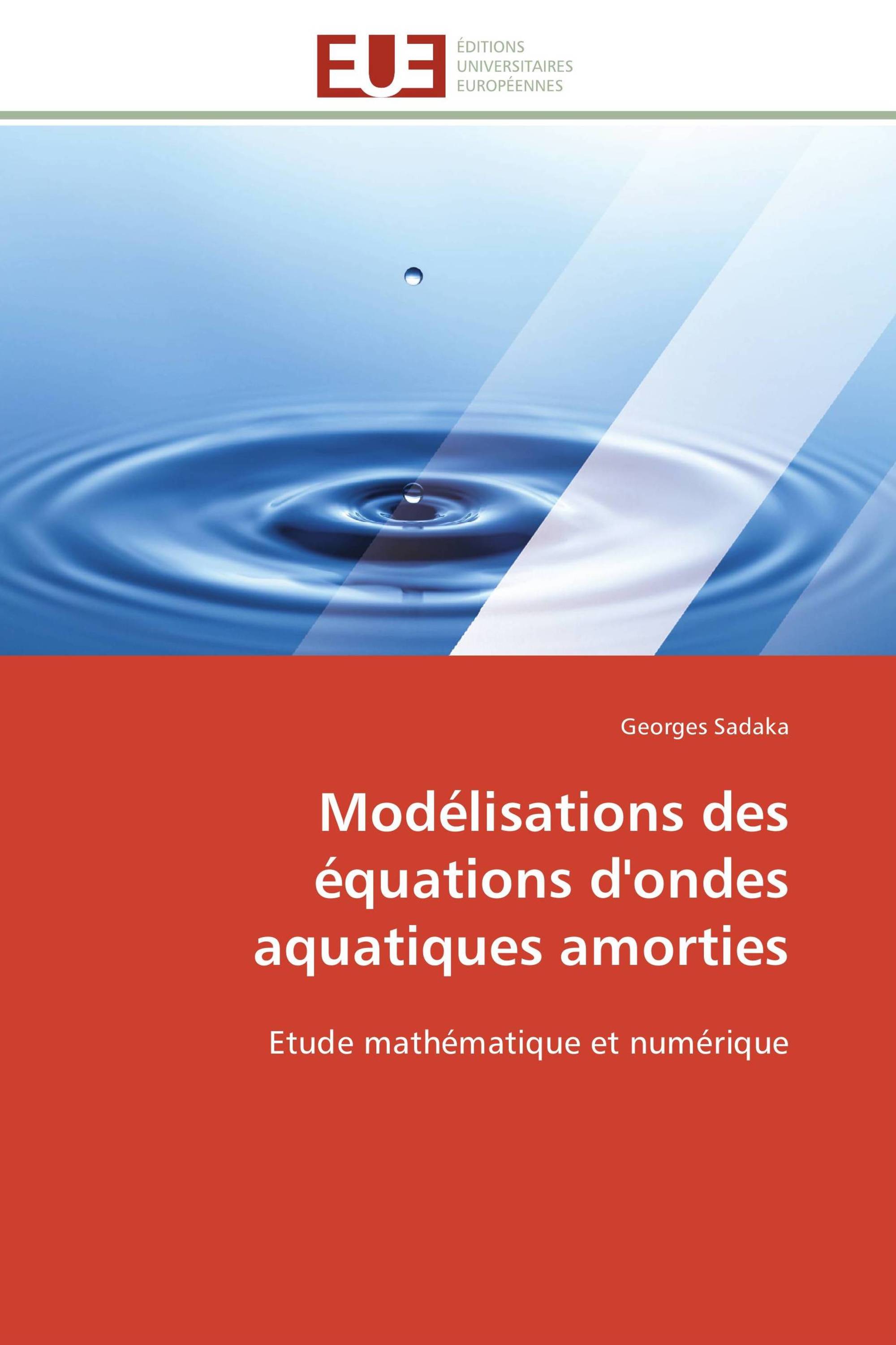 Modélisations des équations d'ondes aquatiques amorties